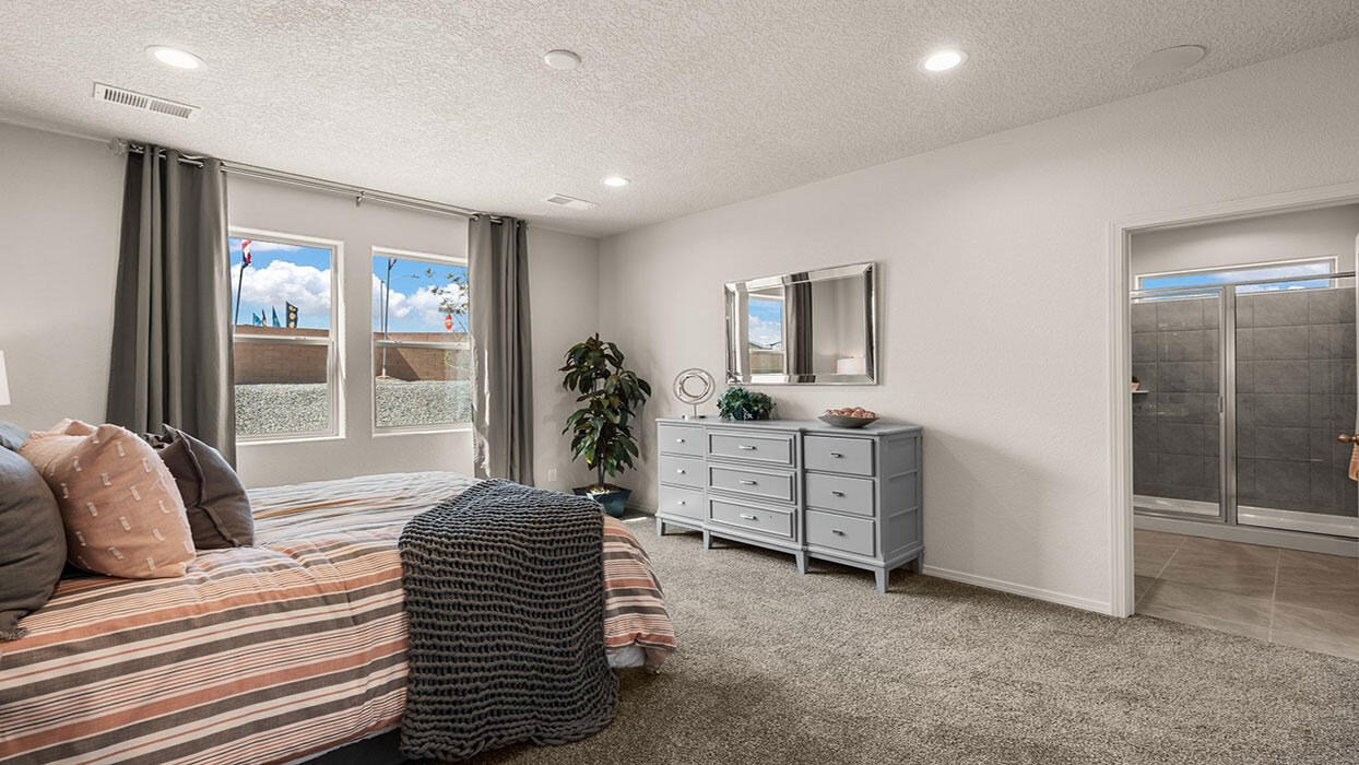 1681 Alto Colores Street, Los Lunas, New Mexico image 23