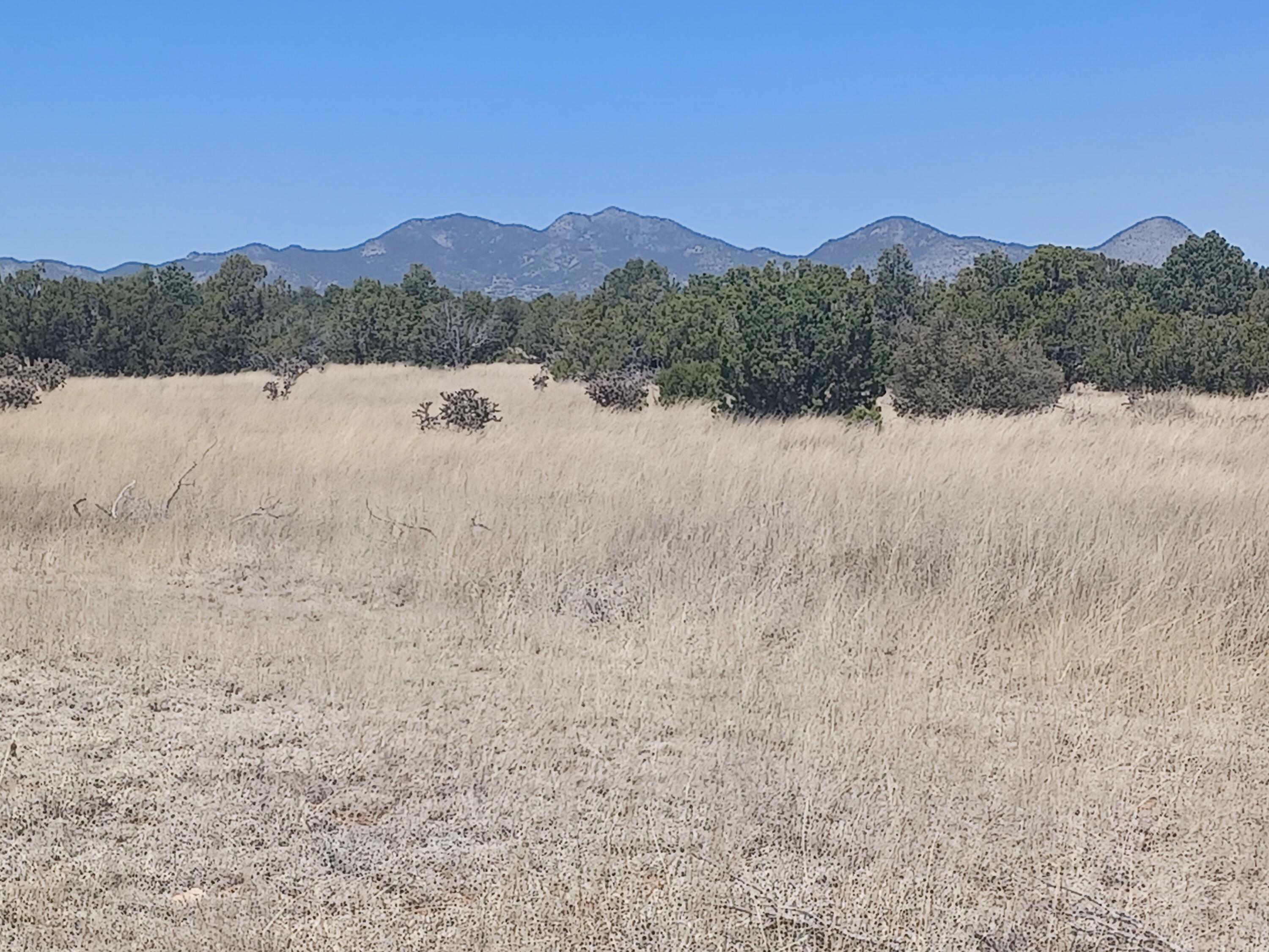 211 Cow Mill Road, Stanley, New Mexico image 1