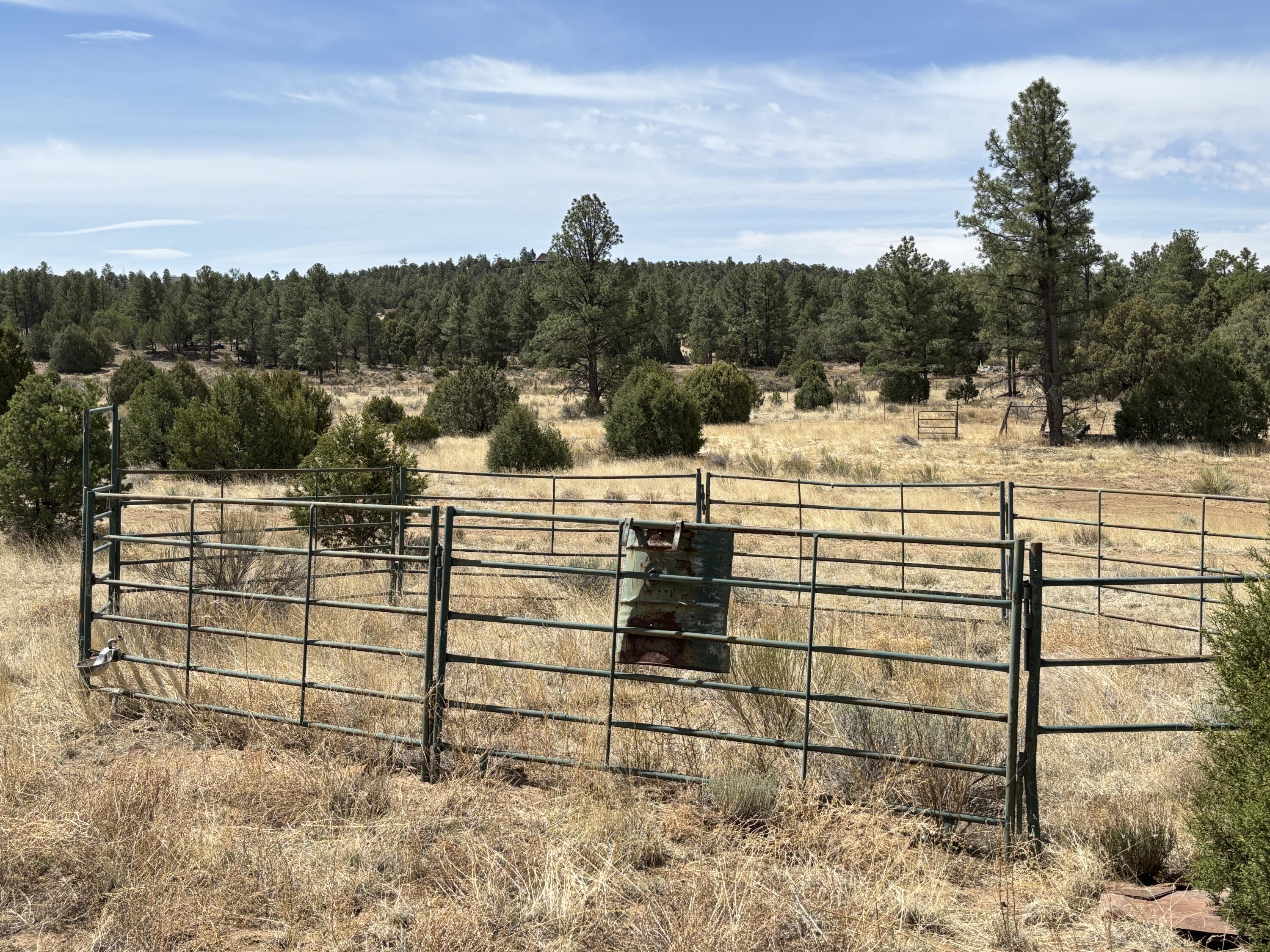 994 Wild Horse Road, Pie Town, New Mexico image 41