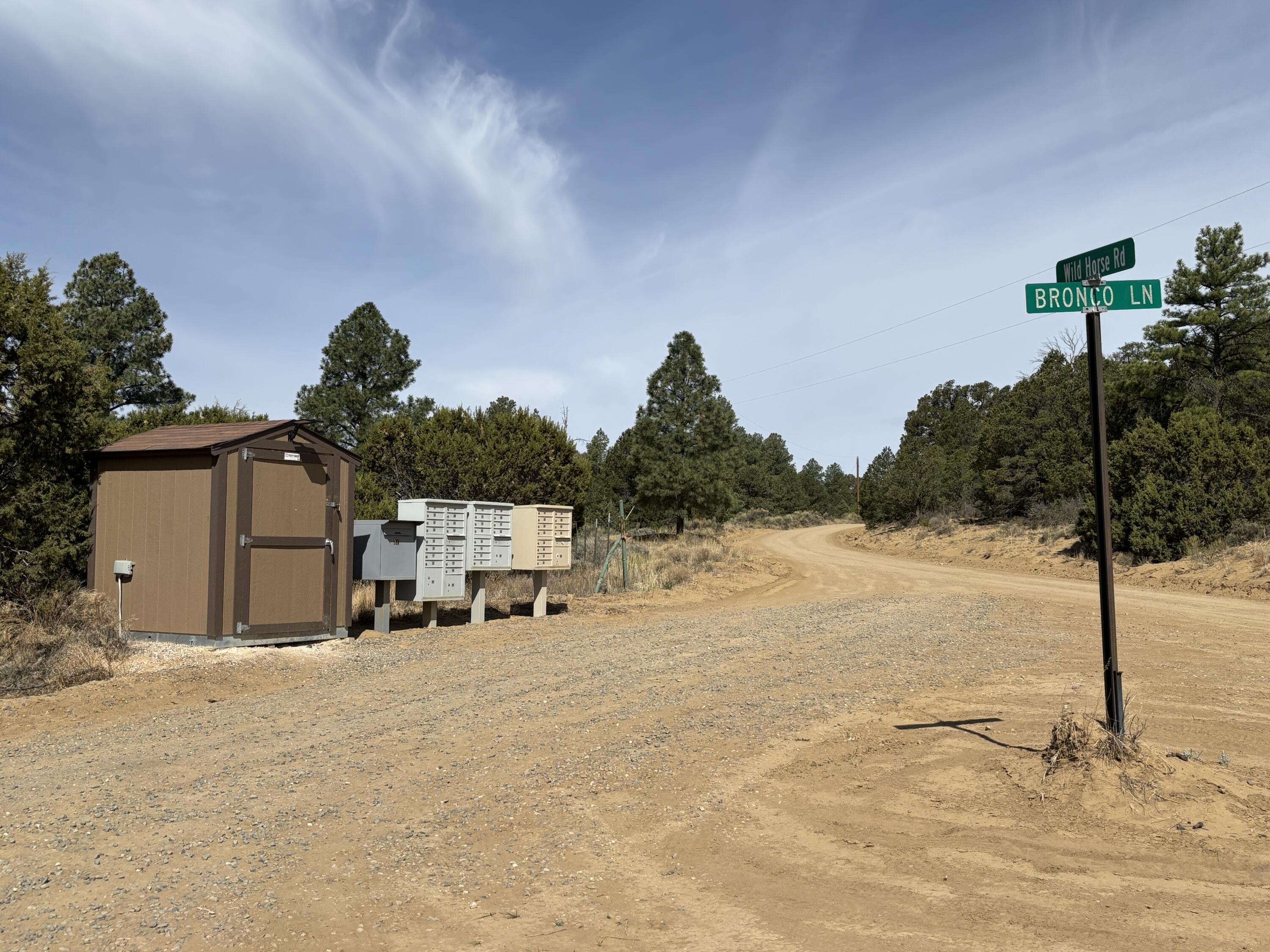 994 Wild Horse Road, Pie Town, New Mexico image 28