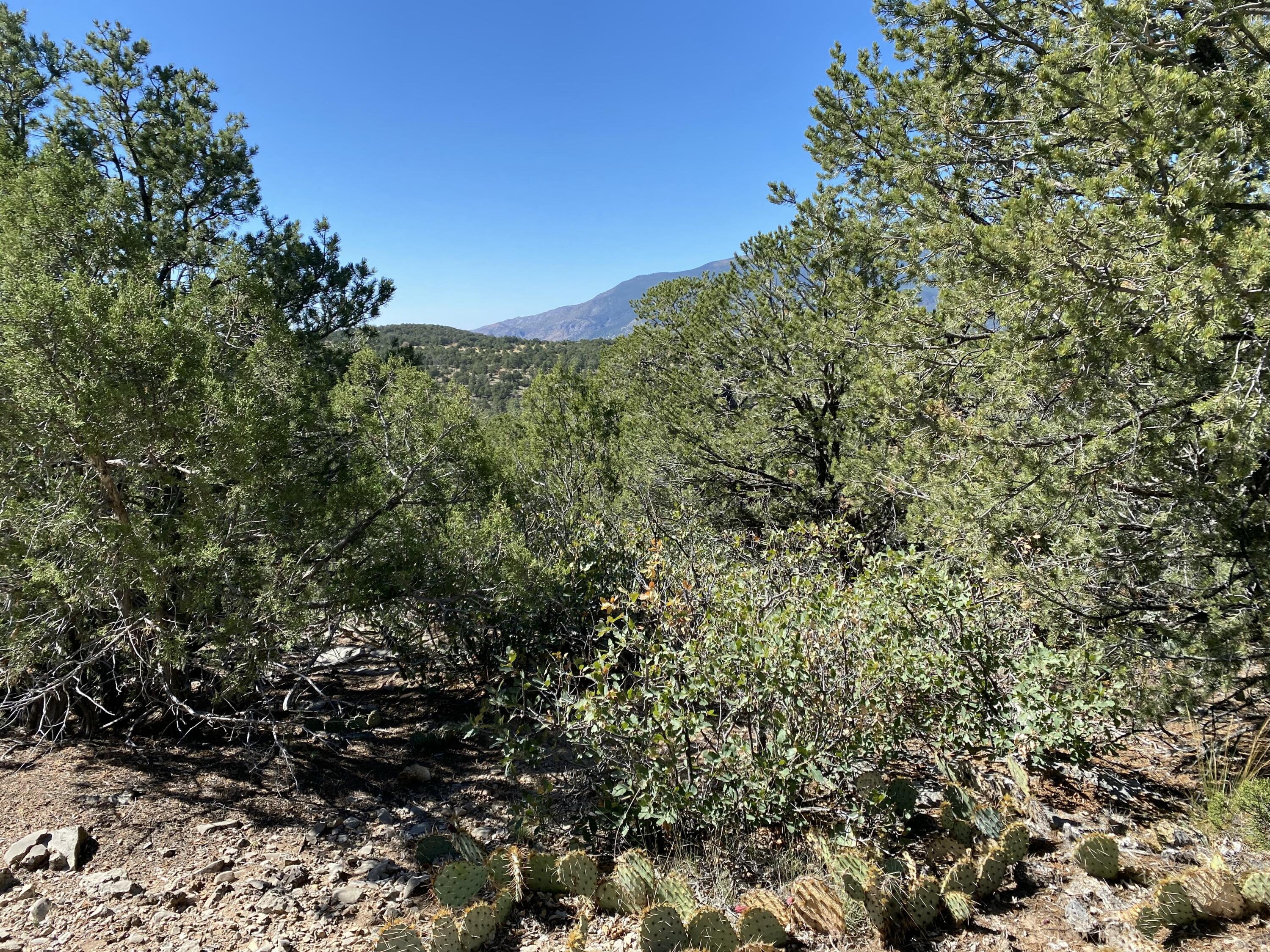 44 Crestview Drive, Tijeras, New Mexico image 4