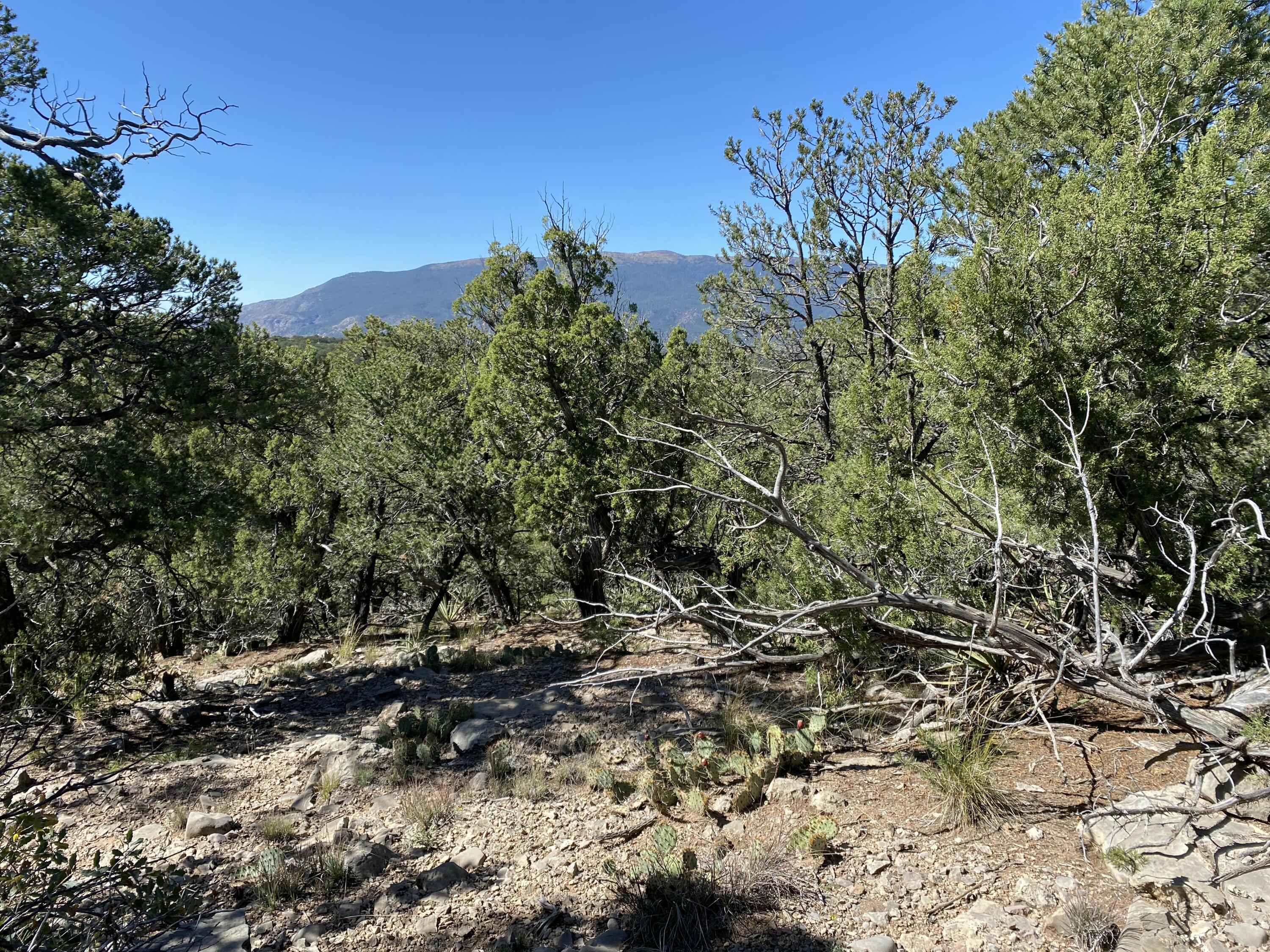 44 Crestview Drive, Tijeras, New Mexico image 2