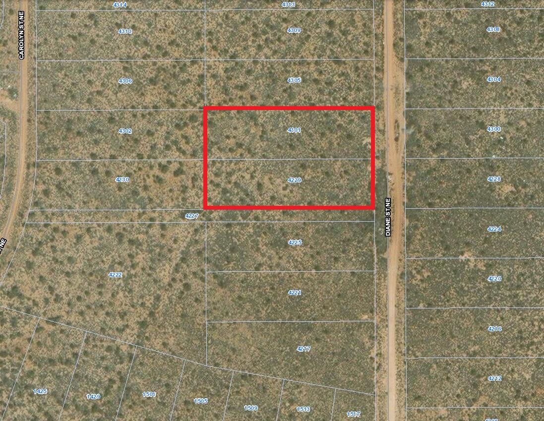 4229-4301 Diane (2 Half Acre Lots) Street, Rio Rancho, New Mexico image 2