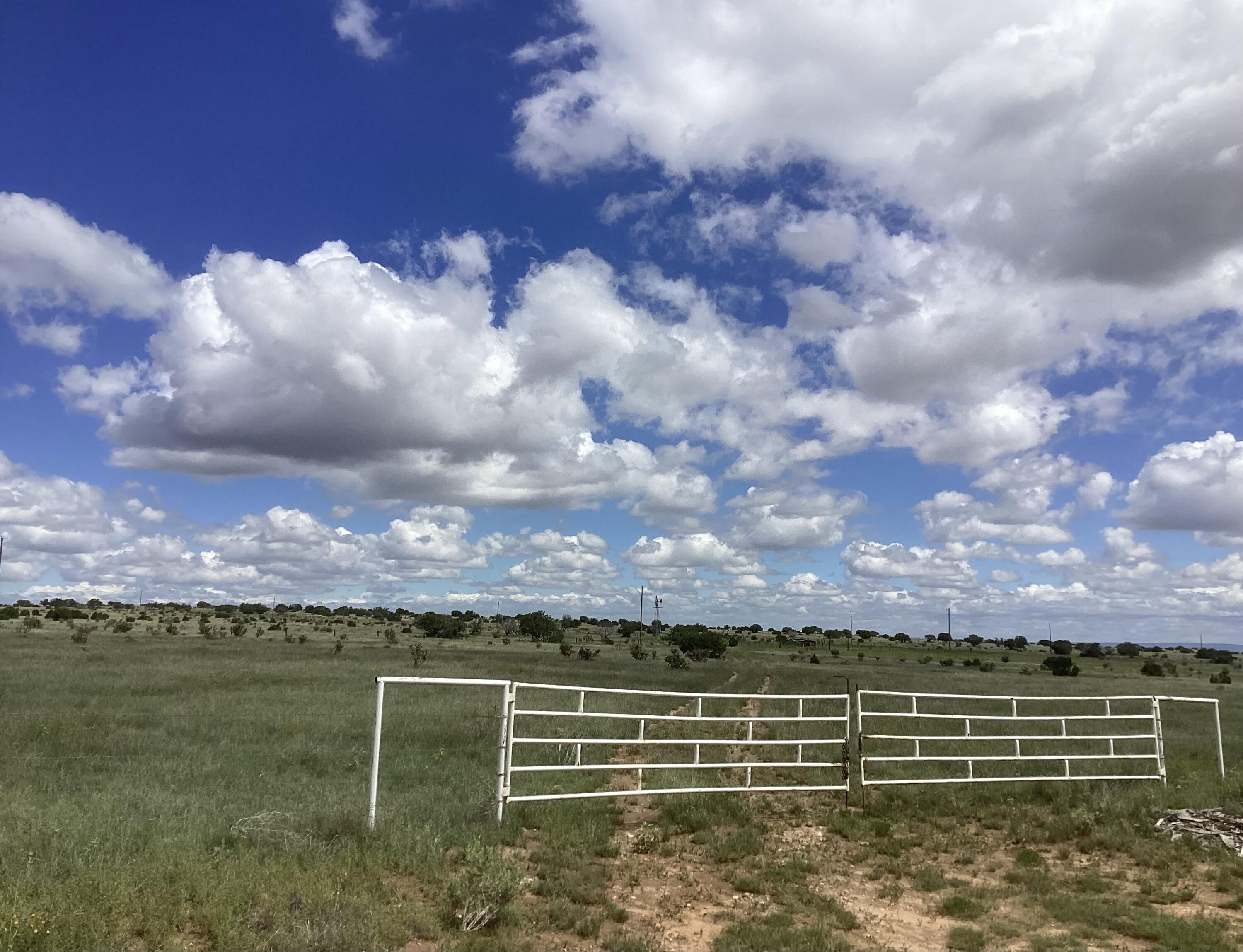 County Rd A052 Tract A, Estancia, New Mexico image 4