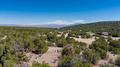 Vacant Land For Sale - 23 Canon Escondido<br/> Sandia Park, NM 87047