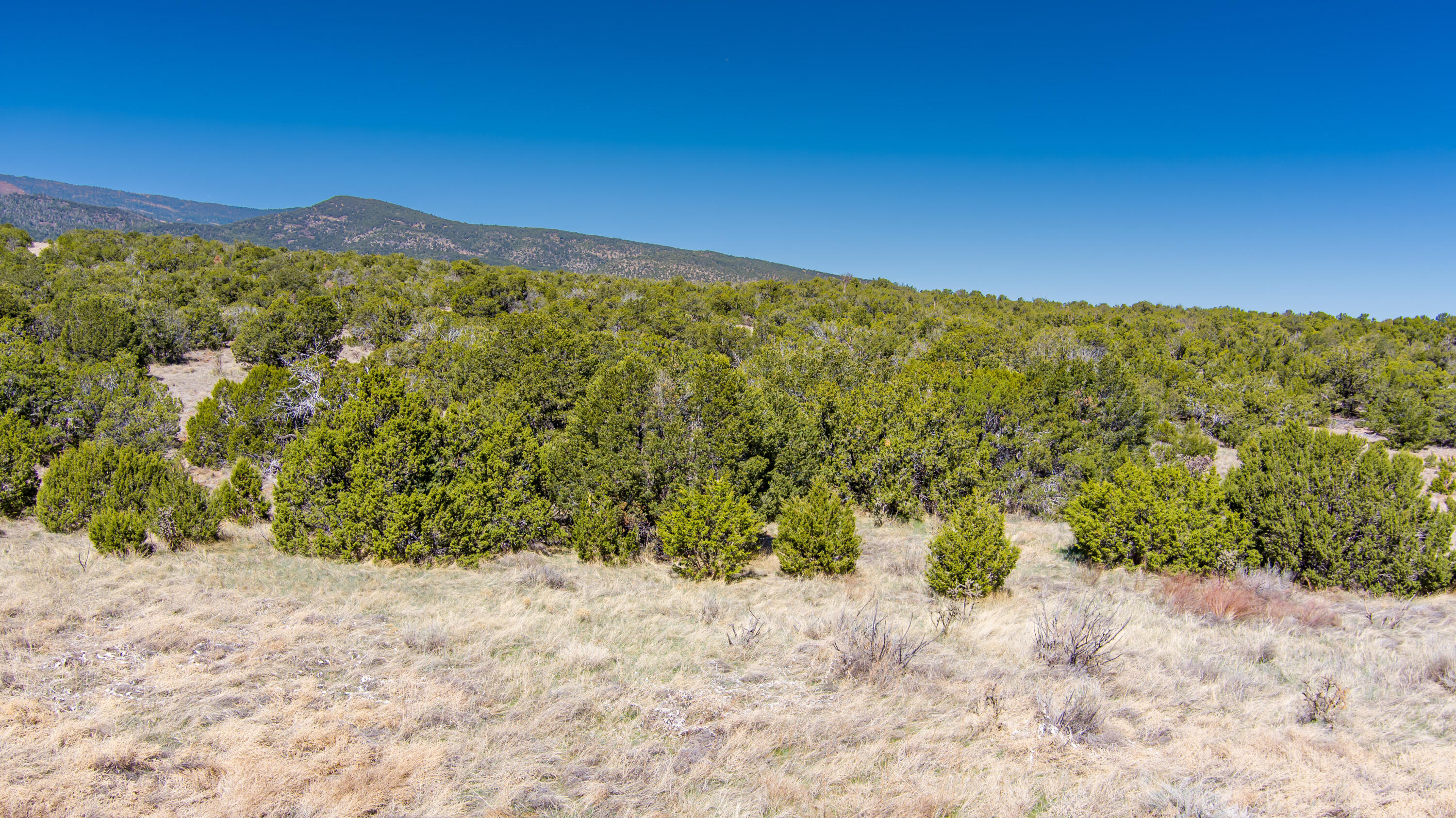 23 Canon Escondido, Sandia Park, New Mexico image 23