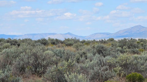Vacant Land For Sale - Lots 13,14 Block 589 #25<br/> Rio Communities, NM 87002