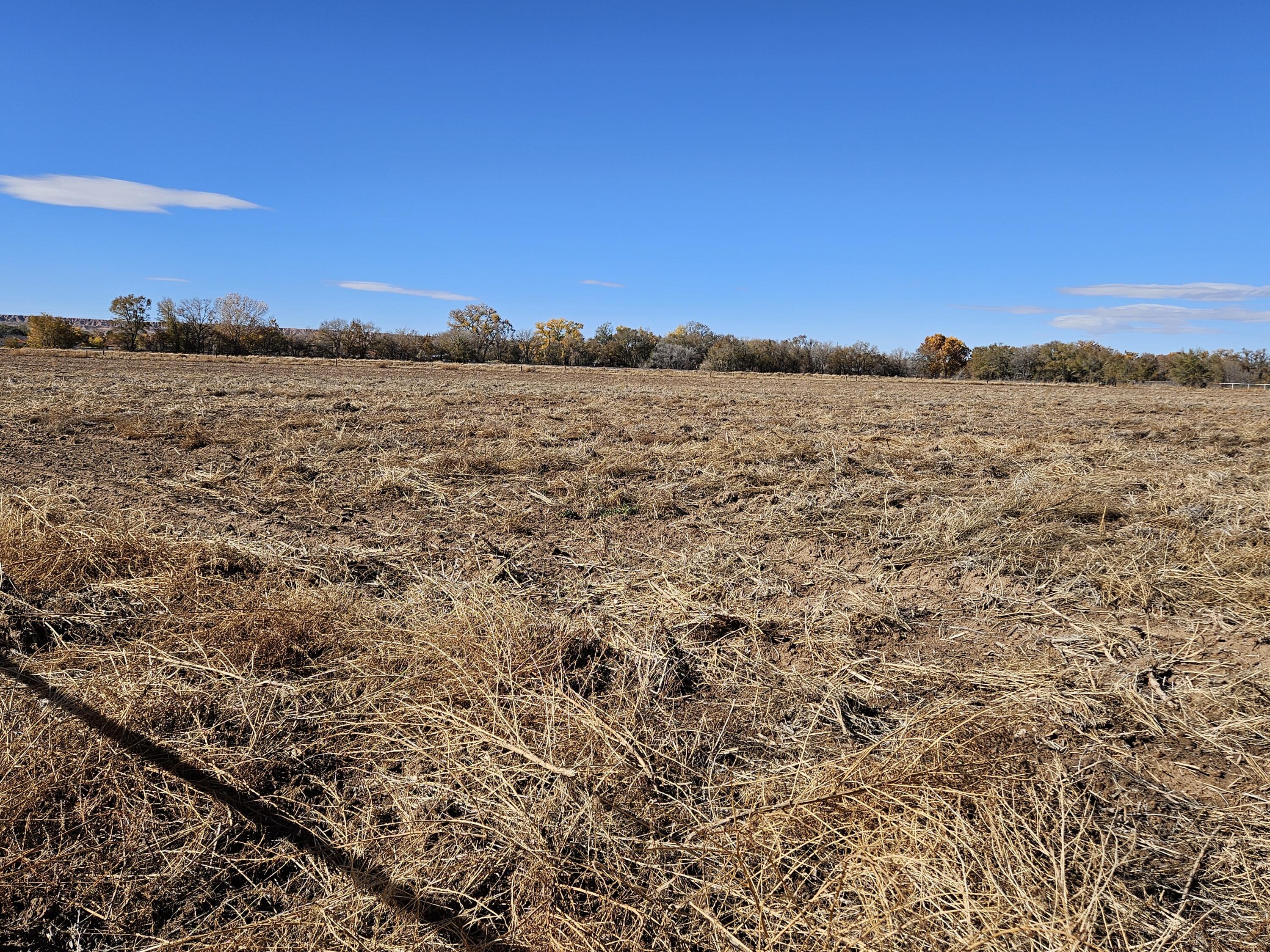 218 Valentin Road, Belen, New Mexico image 2