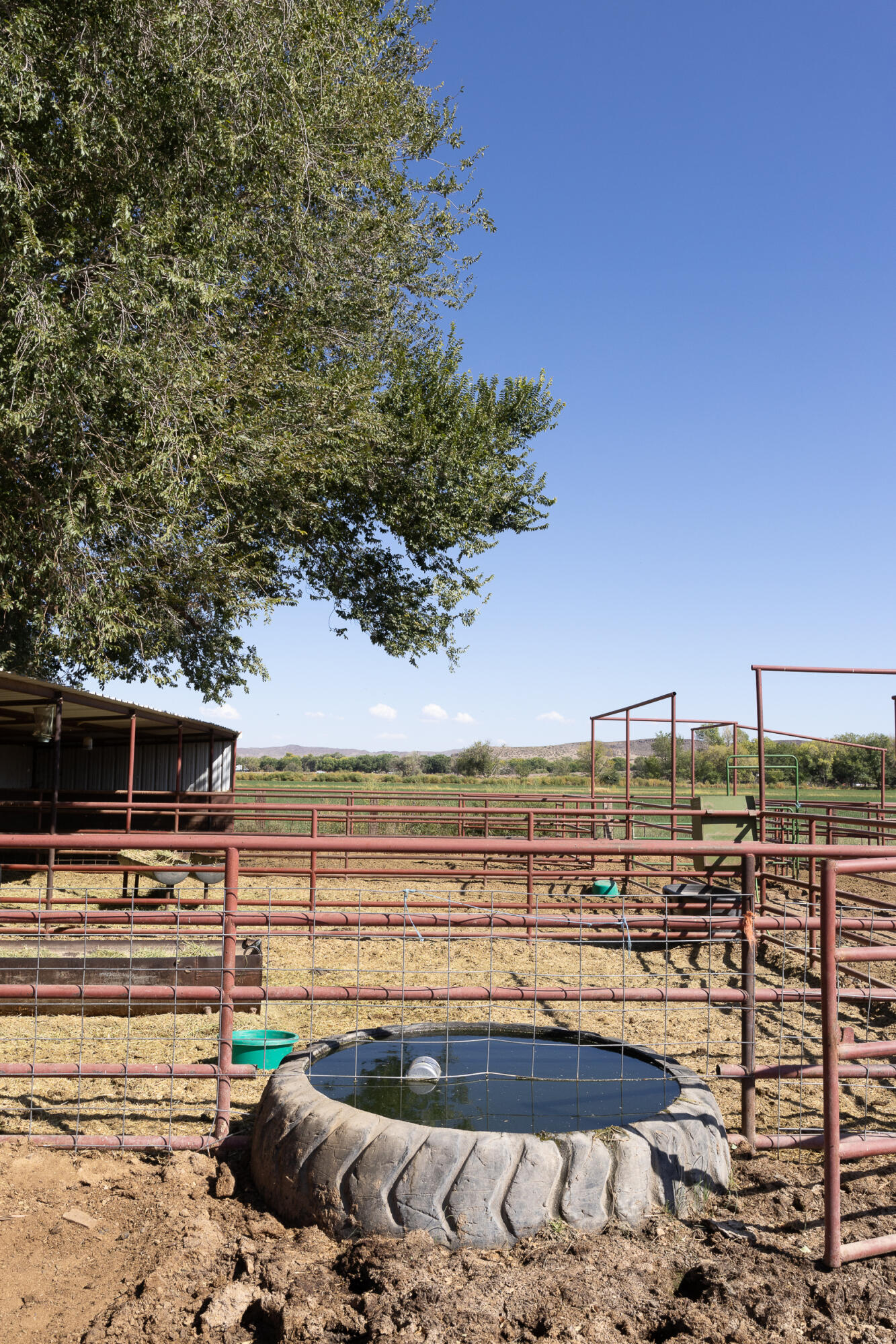 17 San Acacia Road, San Acacia, New Mexico image 29