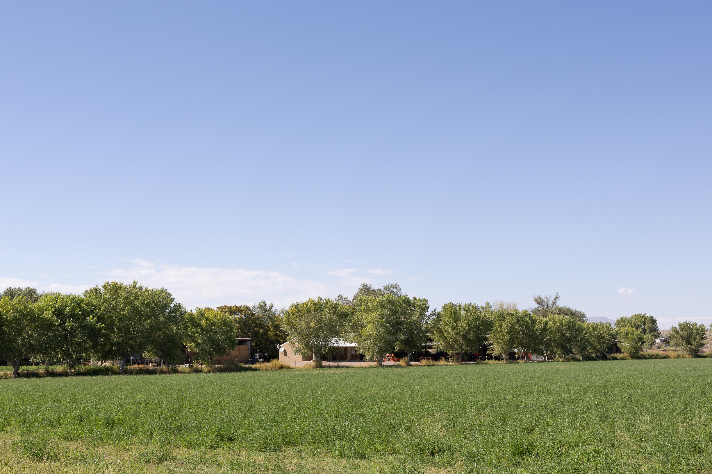 17 San Acacia Road, San Acacia, New Mexico image 4