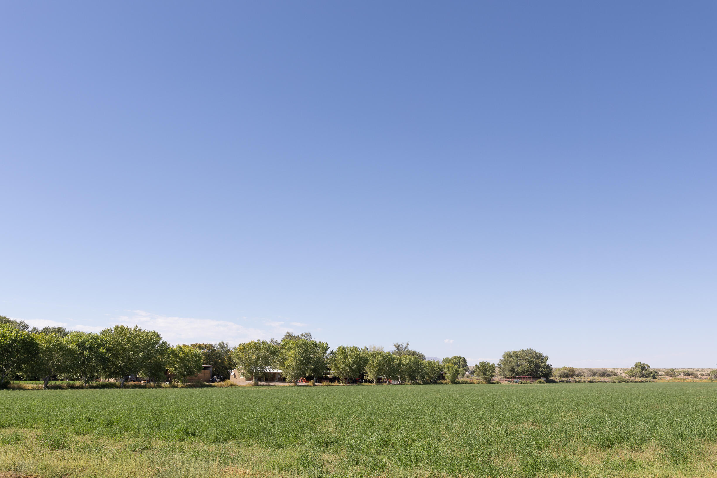 17 San Acacia Road, San Acacia, New Mexico image 6