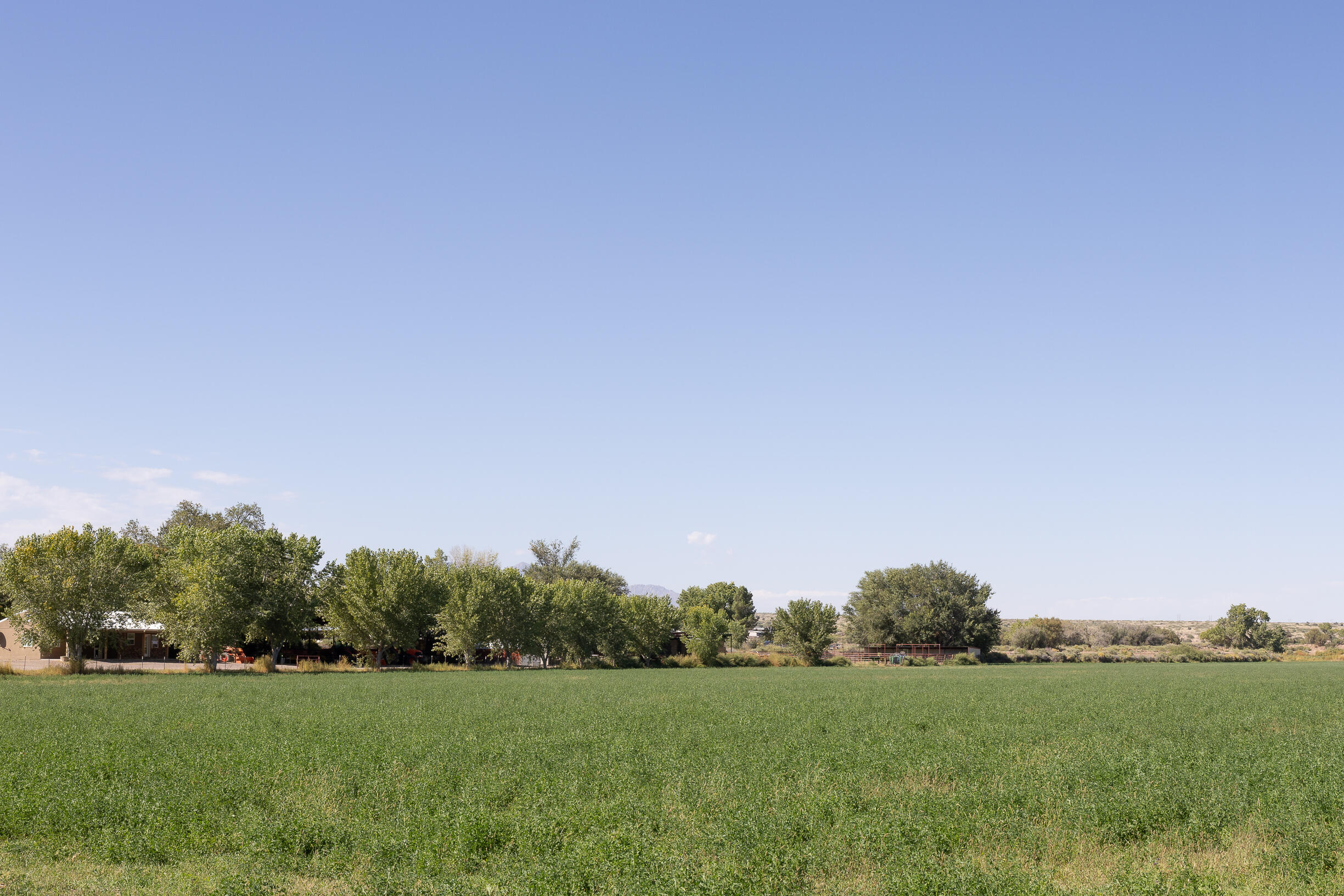 17 San Acacia Road, San Acacia, New Mexico image 3