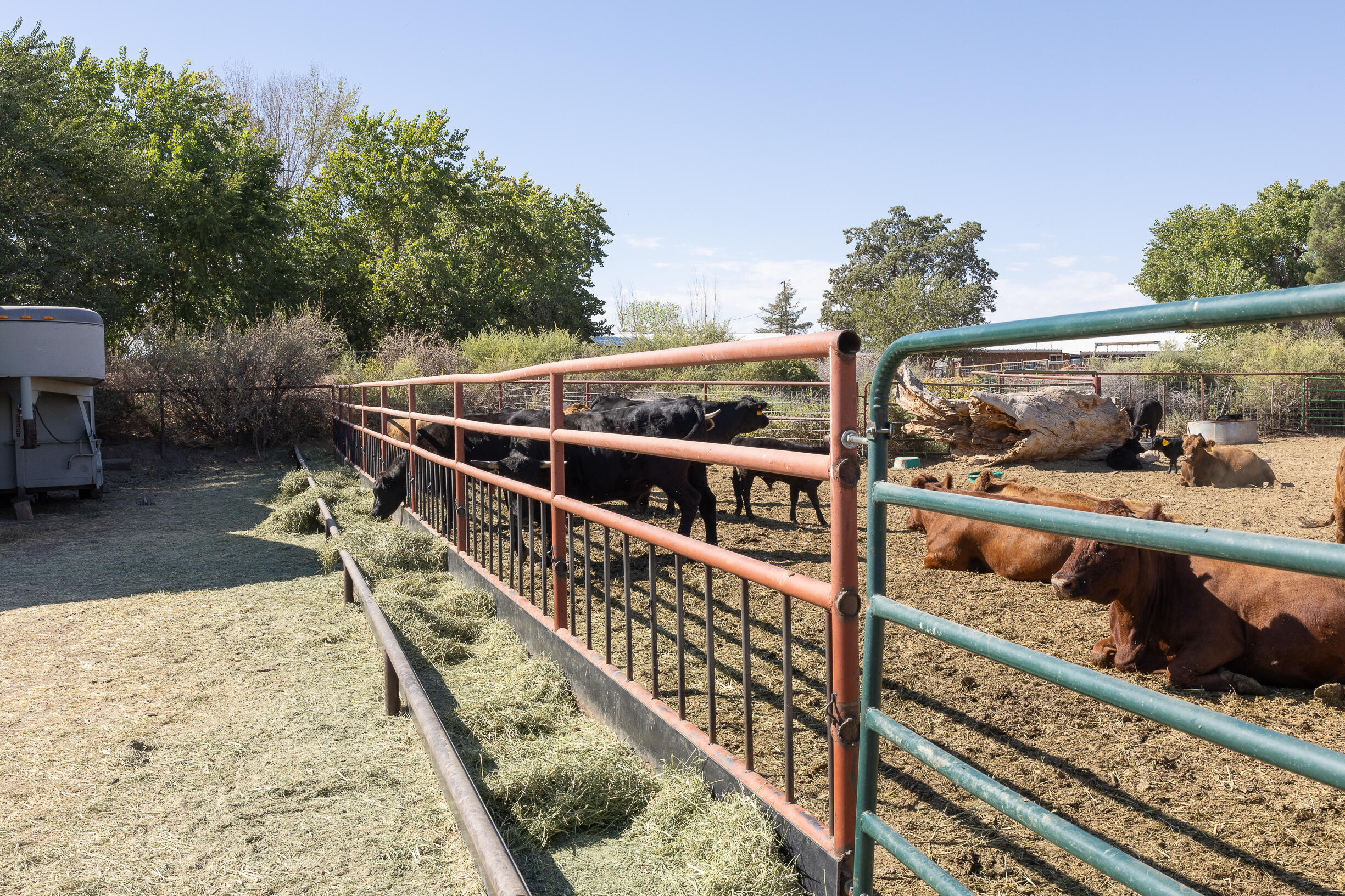 17 San Acacia Road, San Acacia, New Mexico image 18