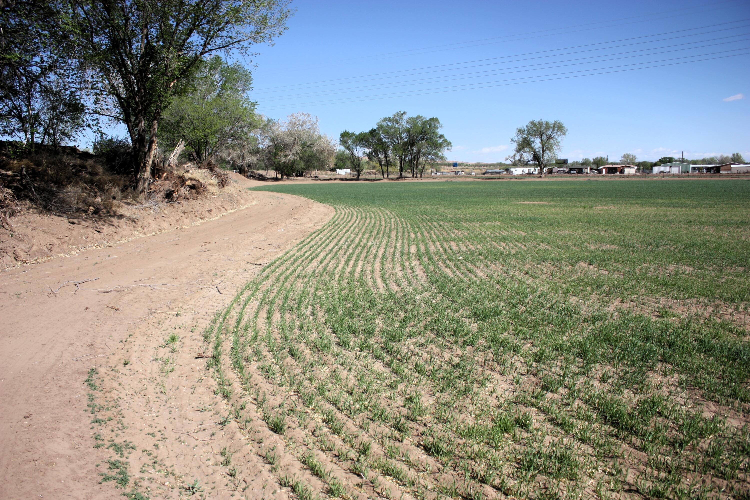 33 Pueblitos Road, Belen, New Mexico image 8