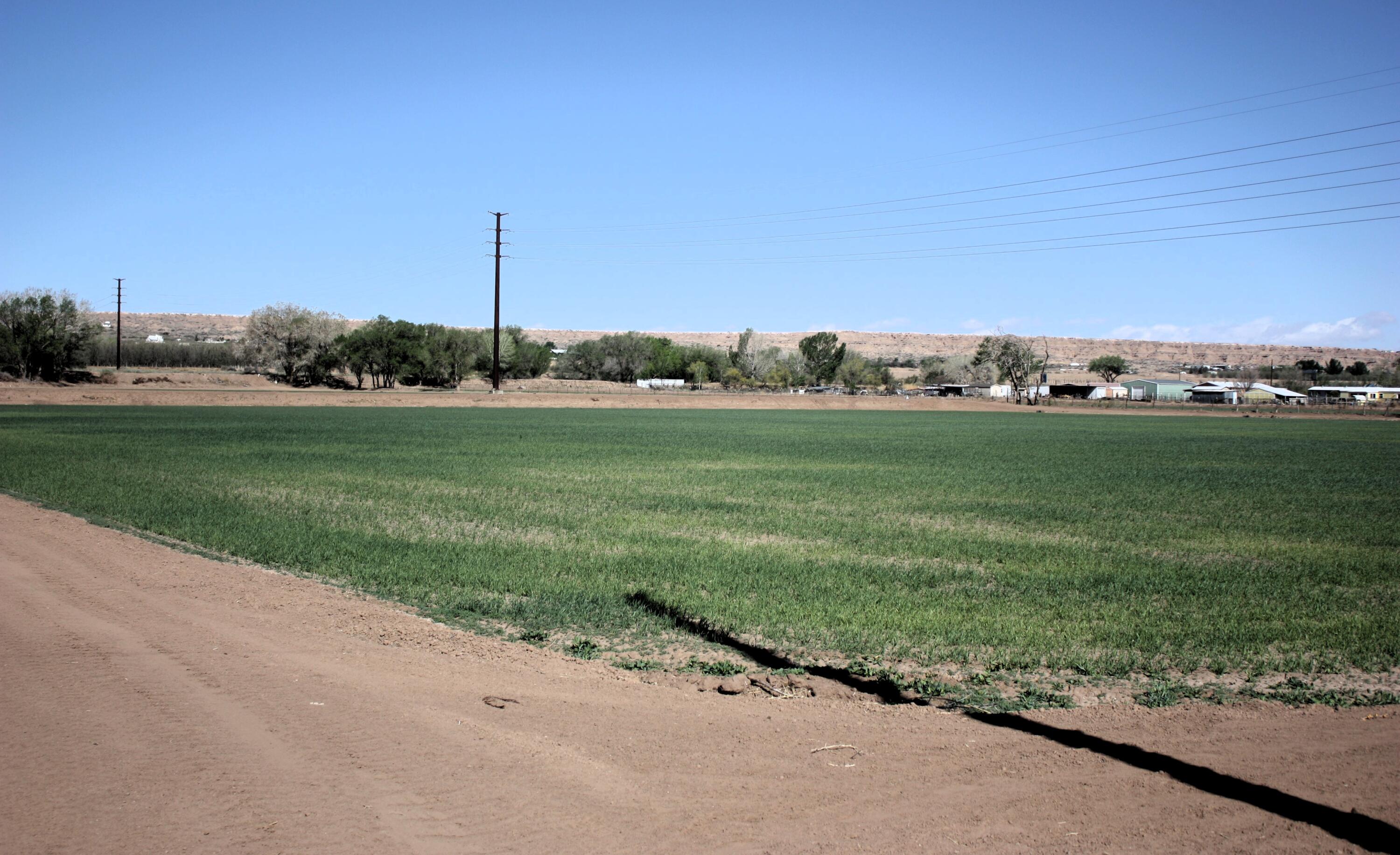 33 Pueblitos Road, Belen, New Mexico image 6