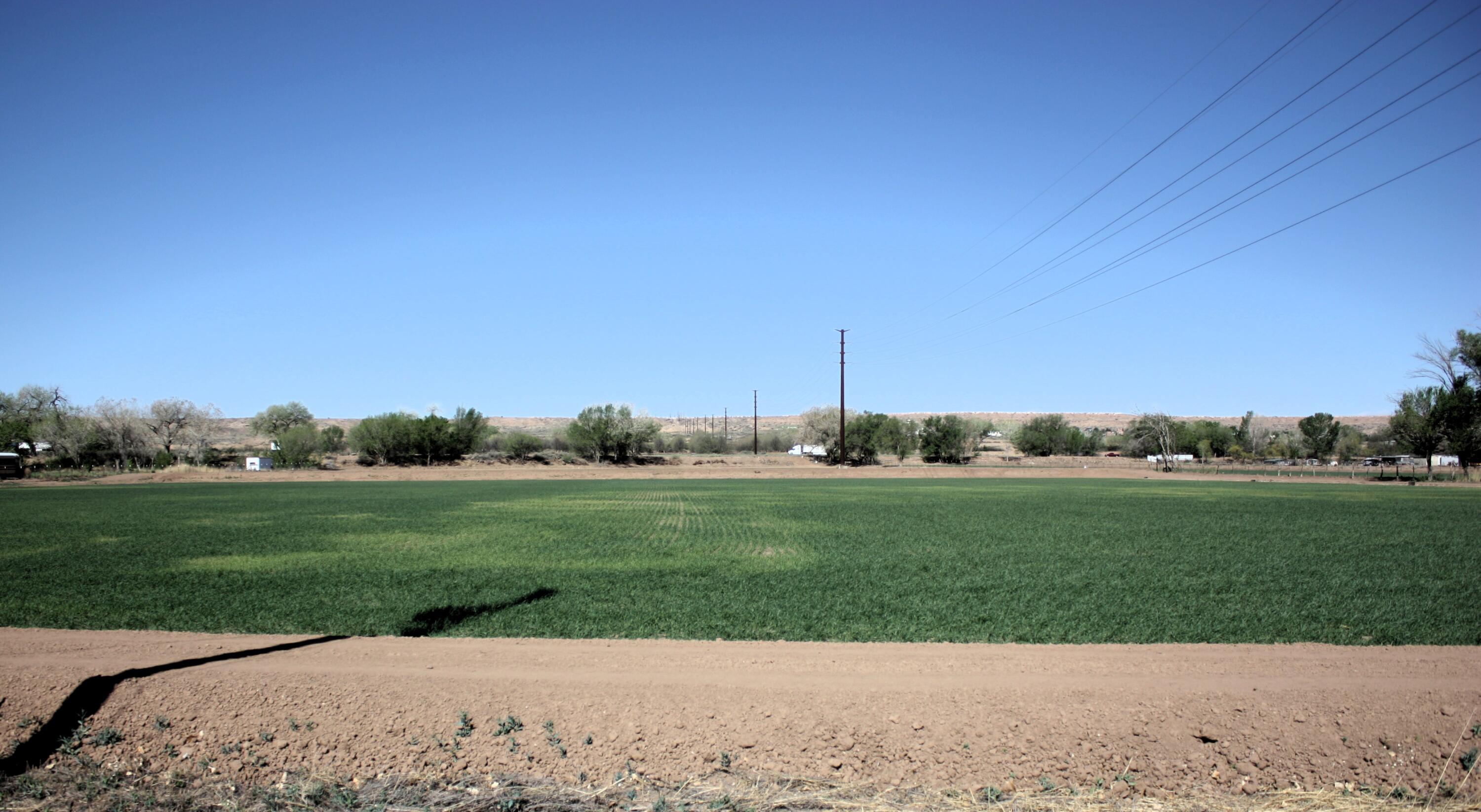 33 Pueblitos Road, Belen, New Mexico image 2