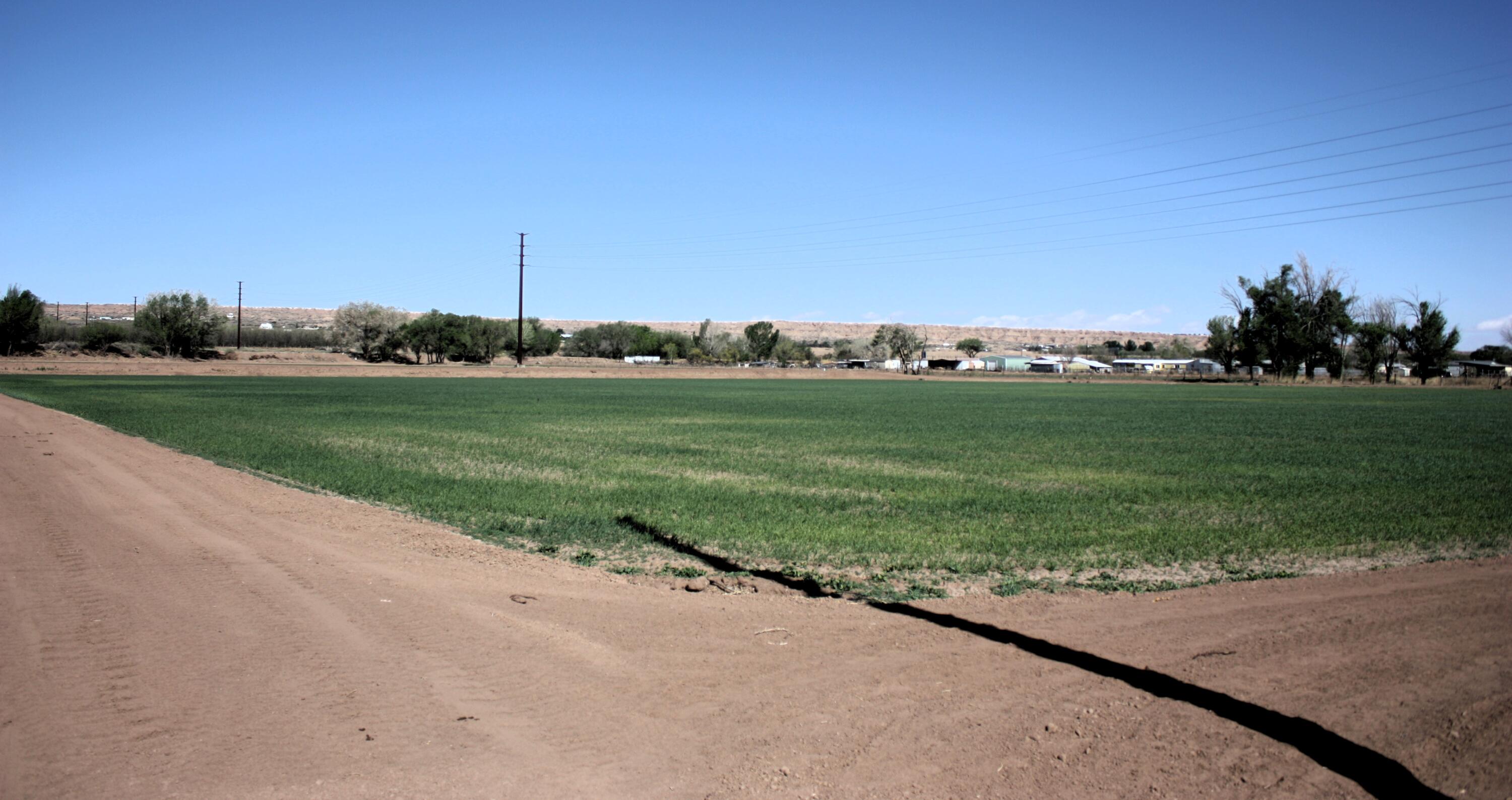 33 Pueblitos Road, Belen, New Mexico image 1