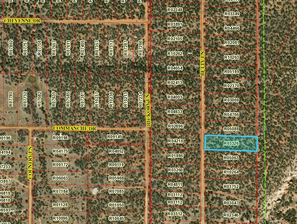 Lot 616 Betty Lane, Ramah, New Mexico image 1