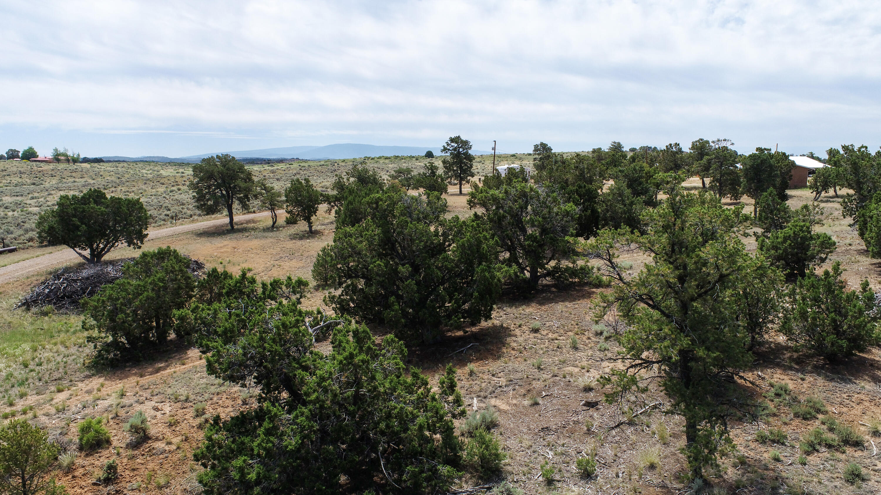 940 State Hwy 595, Lindrith, New Mexico image 9