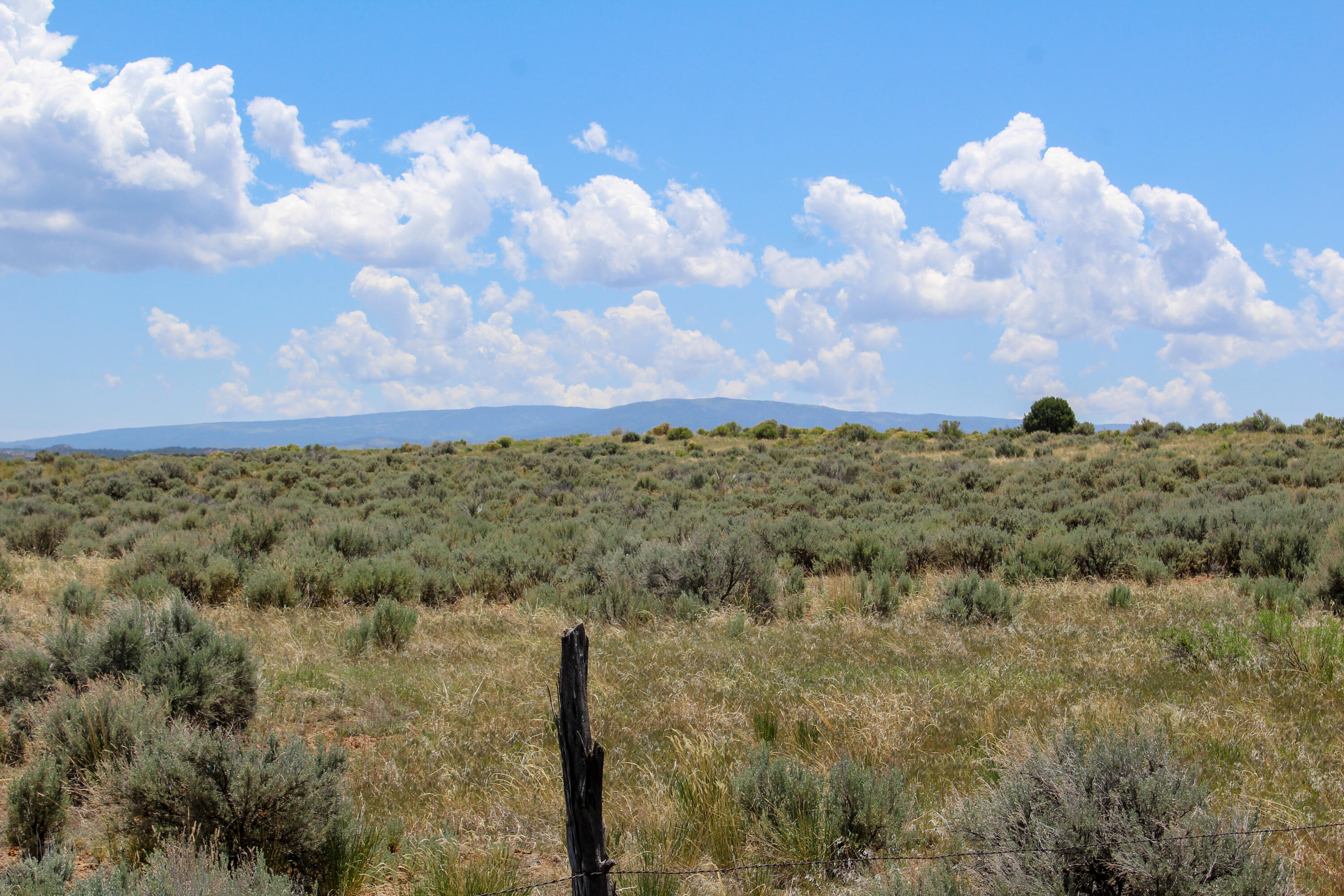 940 State Hwy 595, Lindrith, New Mexico image 14