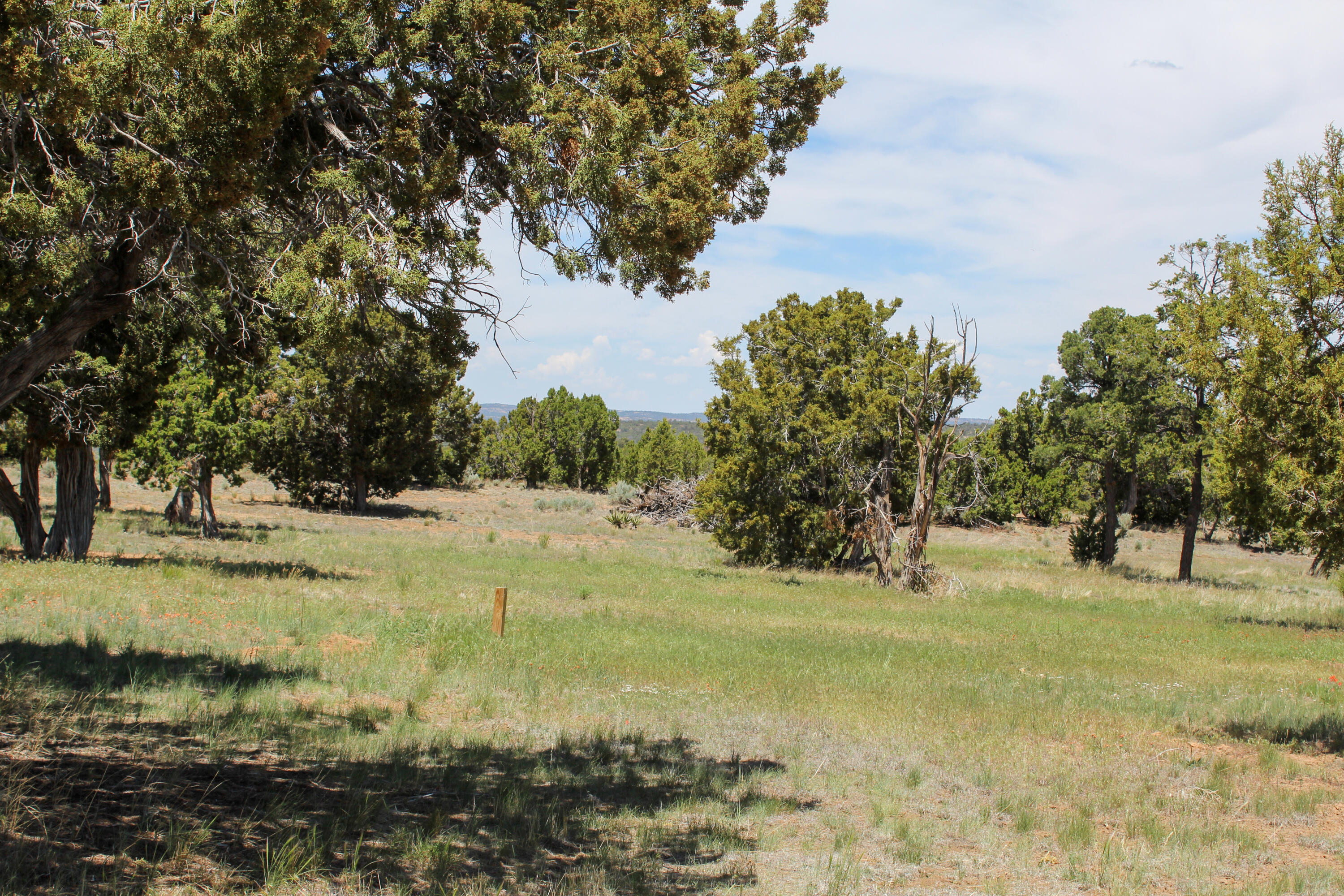 940 State Hwy 595, Lindrith, New Mexico image 12