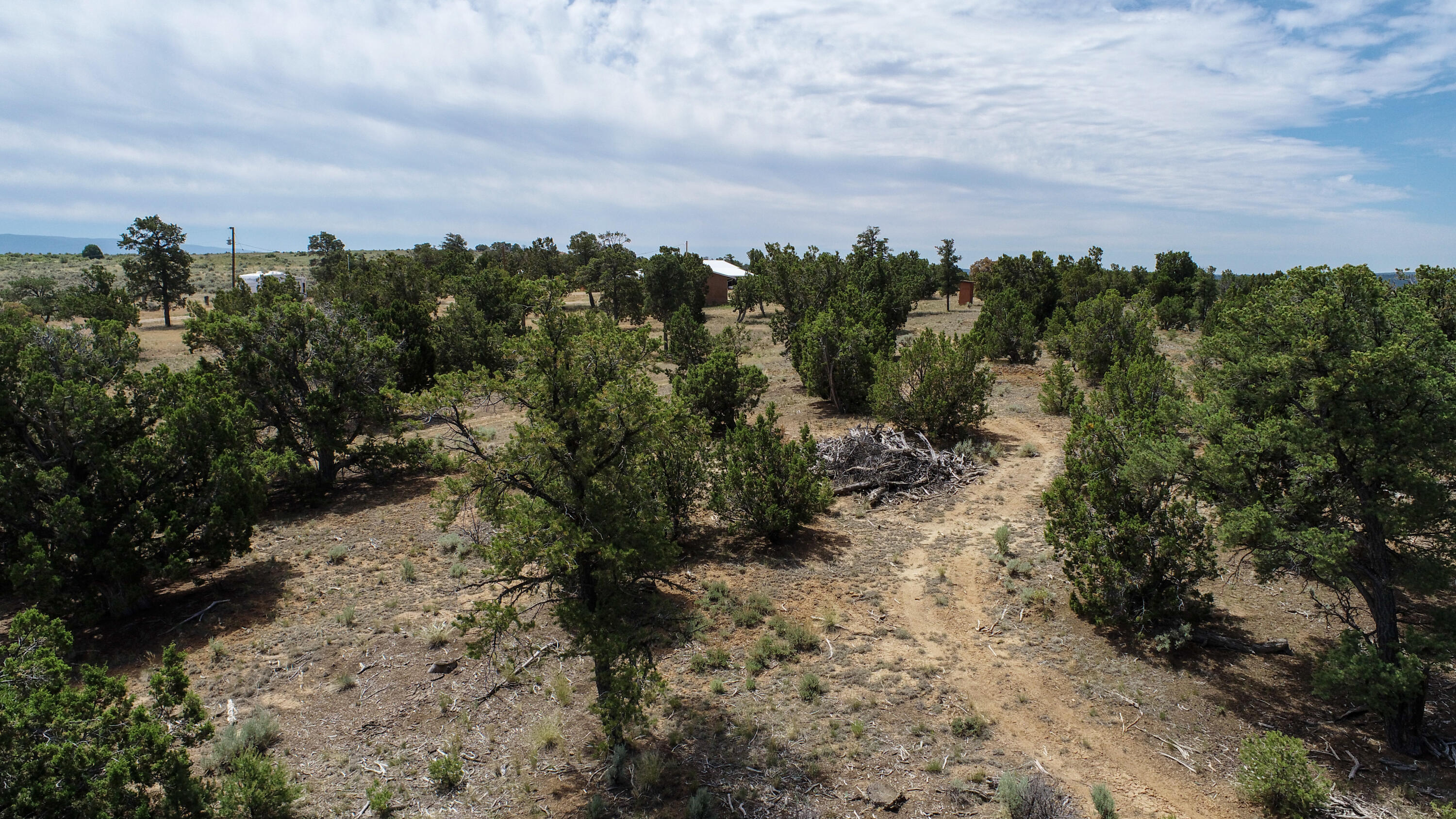 940 State Hwy 595, Lindrith, New Mexico image 36