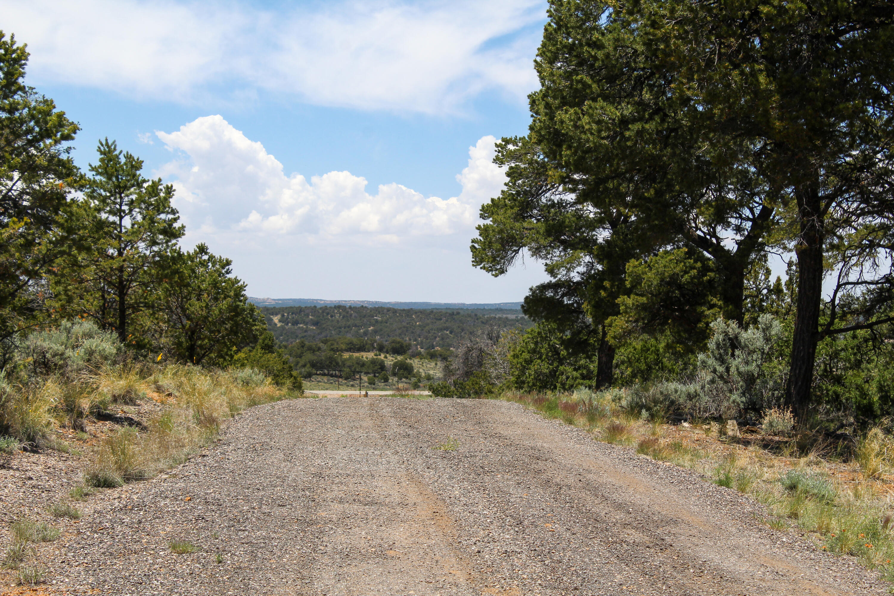 940 State Hwy 595, Lindrith, New Mexico image 26
