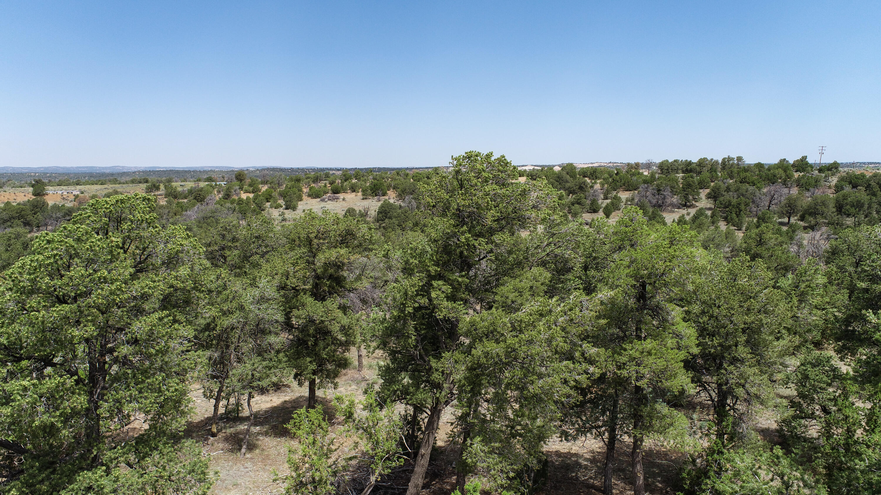 940 State Hwy 595, Lindrith, New Mexico image 11