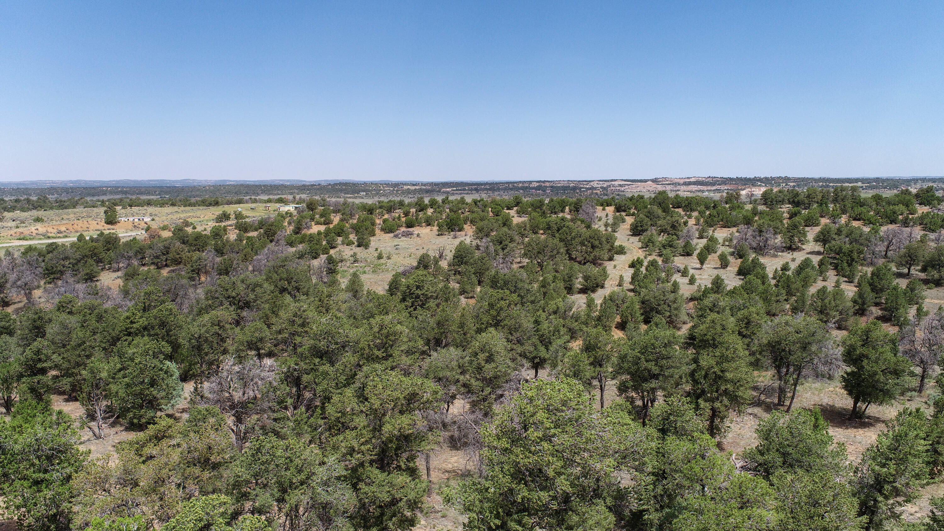940 State Hwy 595, Lindrith, New Mexico image 3