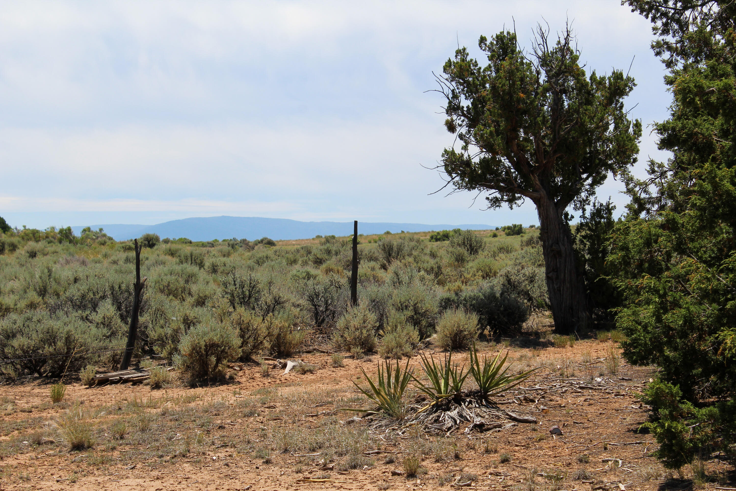940 State Hwy 595, Lindrith, New Mexico image 35