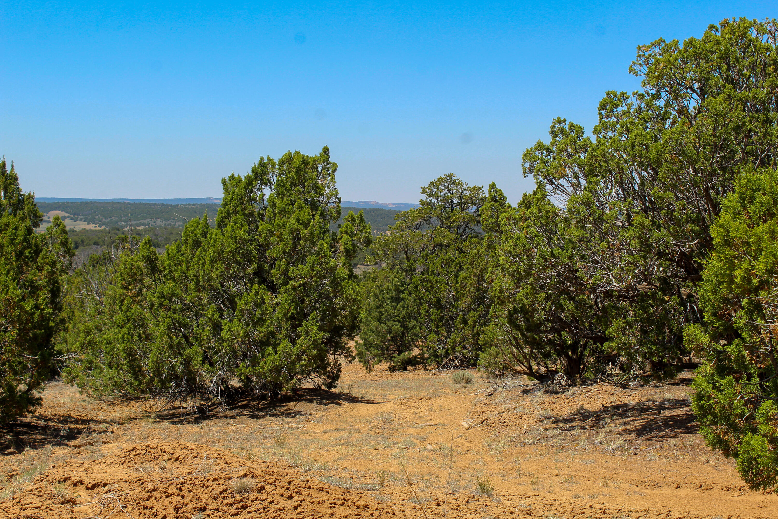 940 State Hwy 595, Lindrith, New Mexico image 32