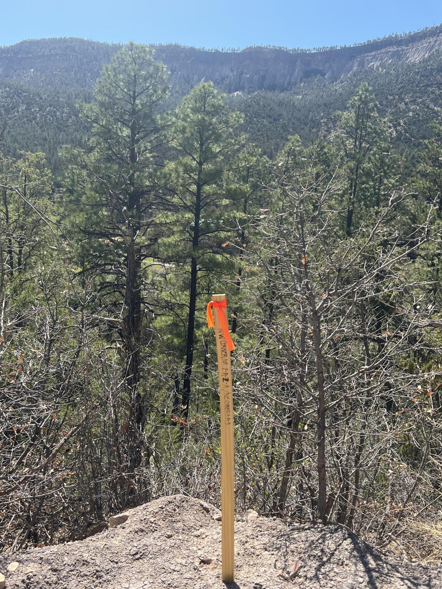 1A3 Calle Pinon, Jemez Springs, New Mexico image 12