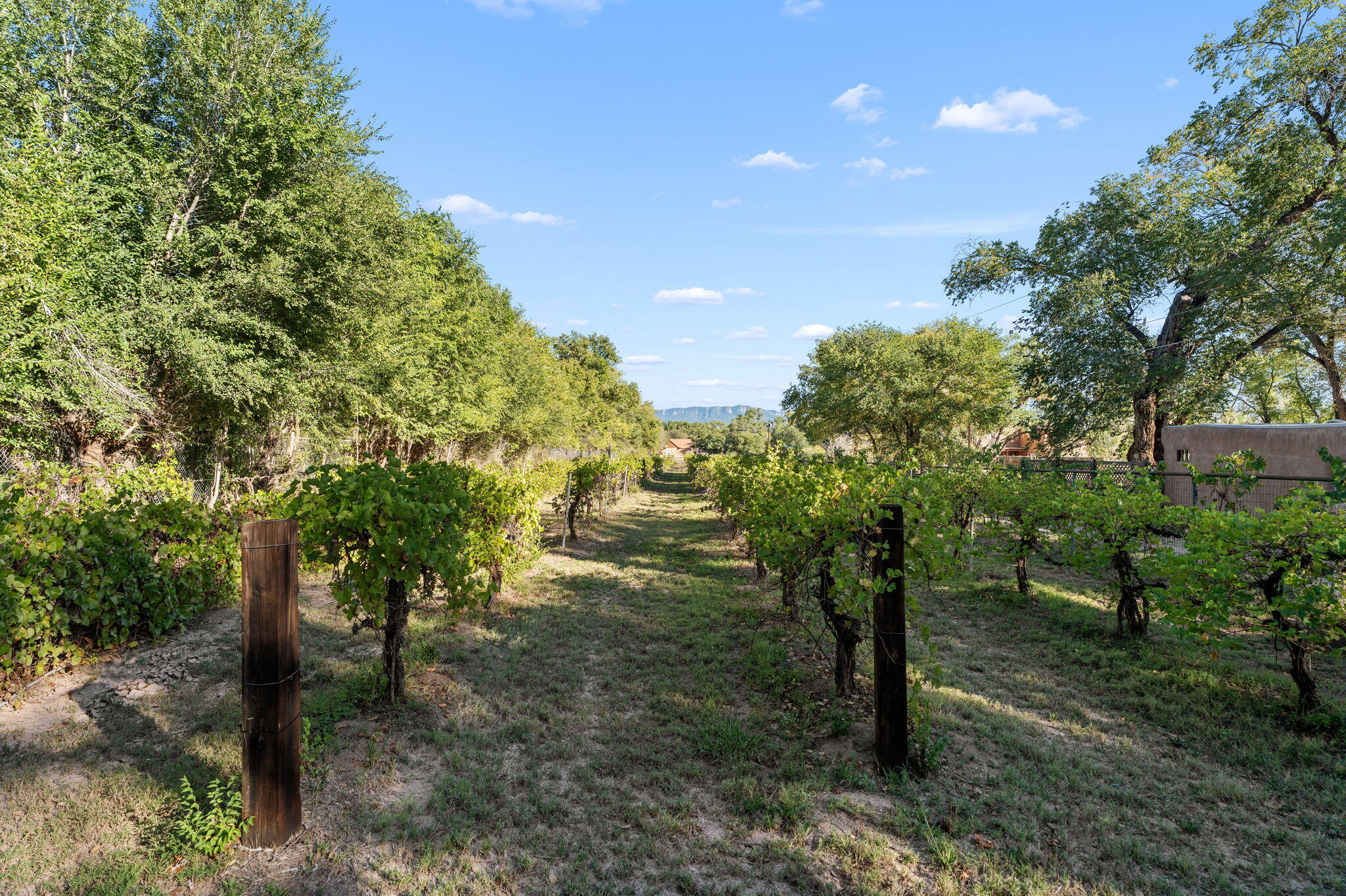 3819-3821 Corrales Road