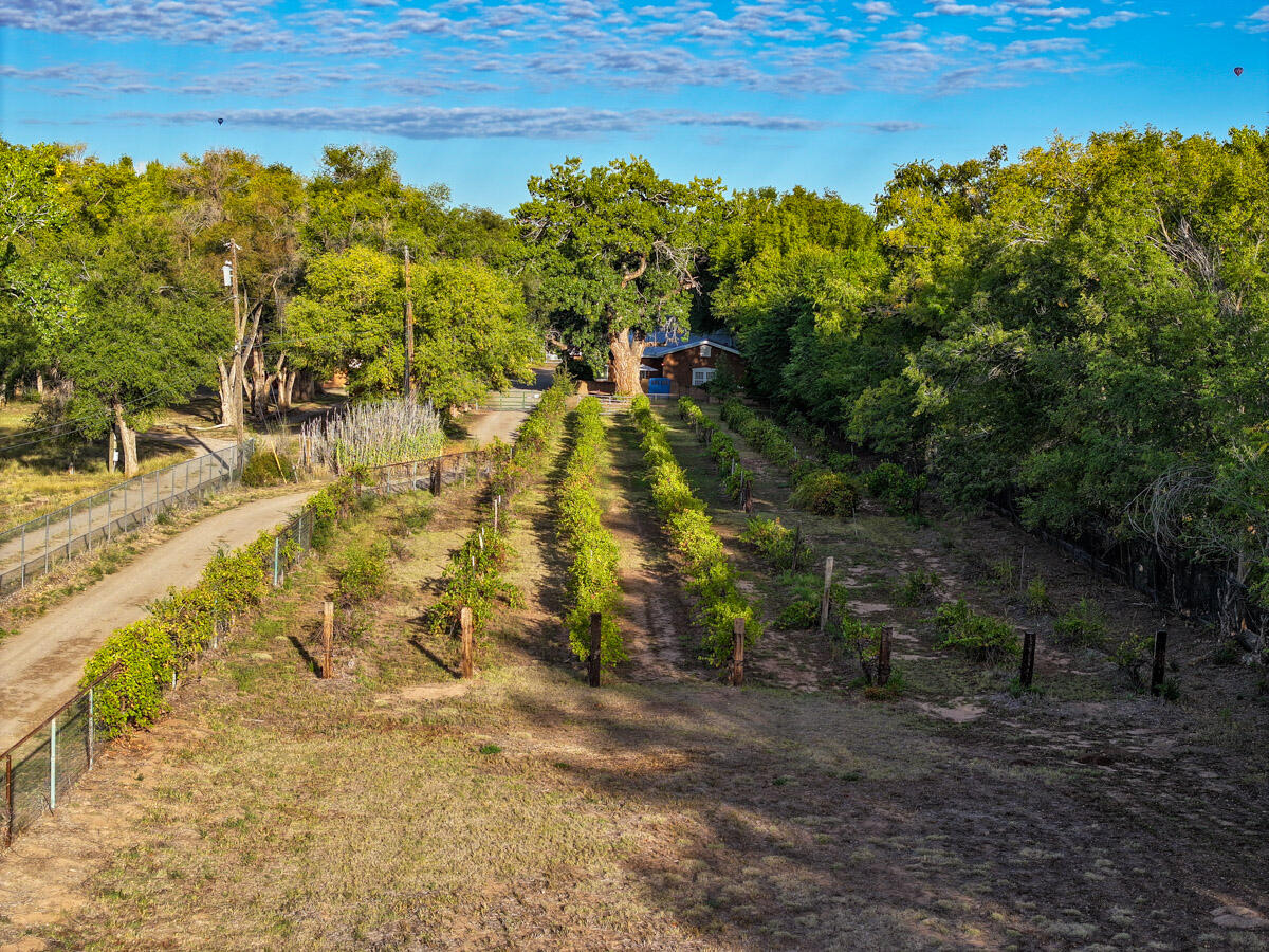 3819-3821 Corrales Road