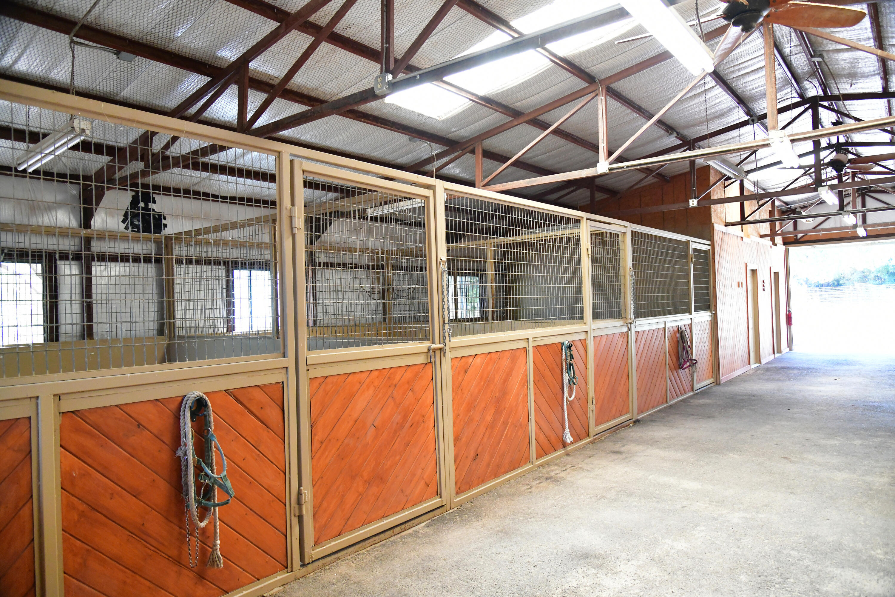 Ironwood Equestrian Farm, Belen, New Mexico image 7