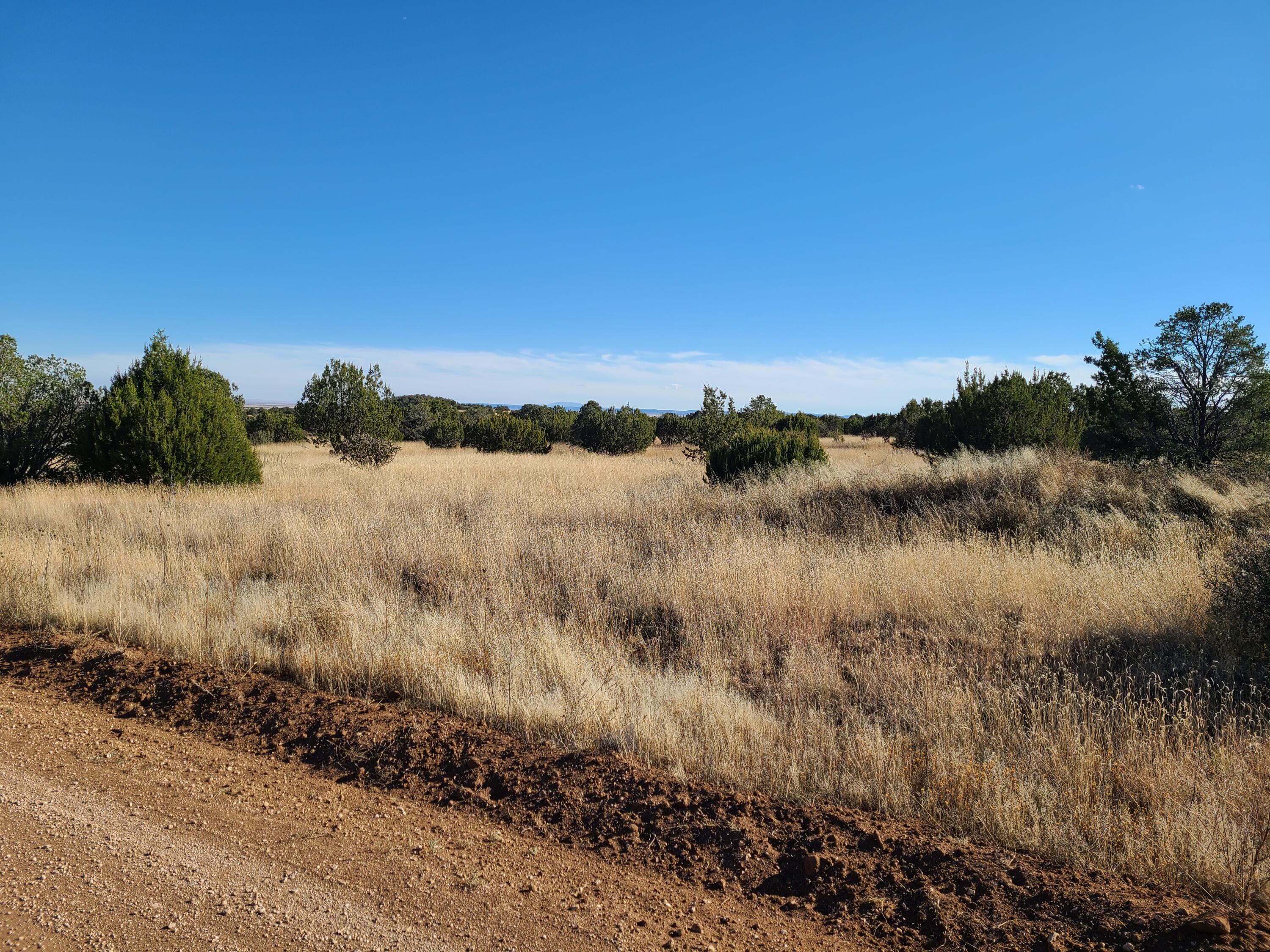 Rosewood Drive #1-A-4, Tajique, New Mexico image 8