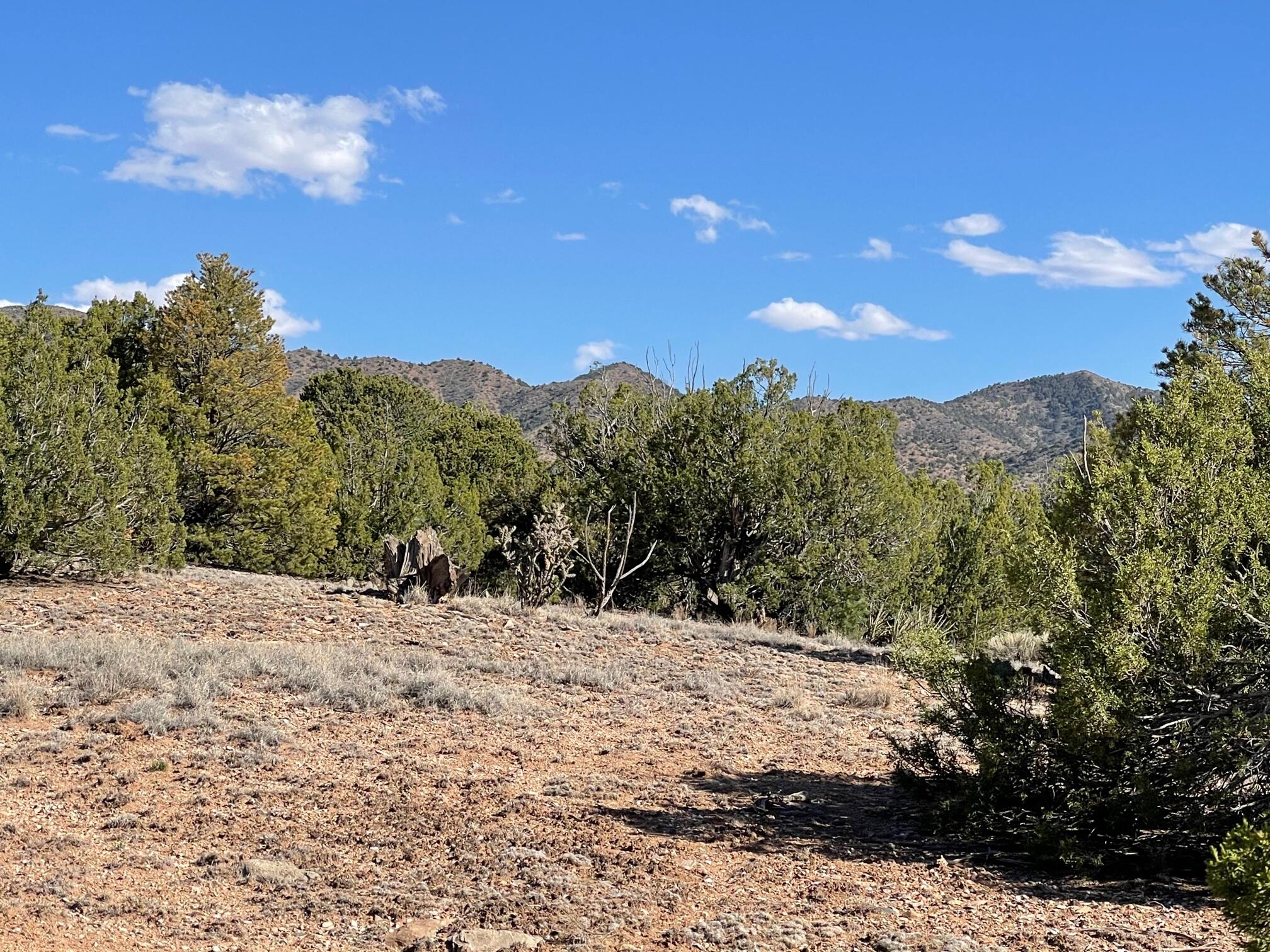 23 Stagecoach Trail, Sandia Park, New Mexico image 7