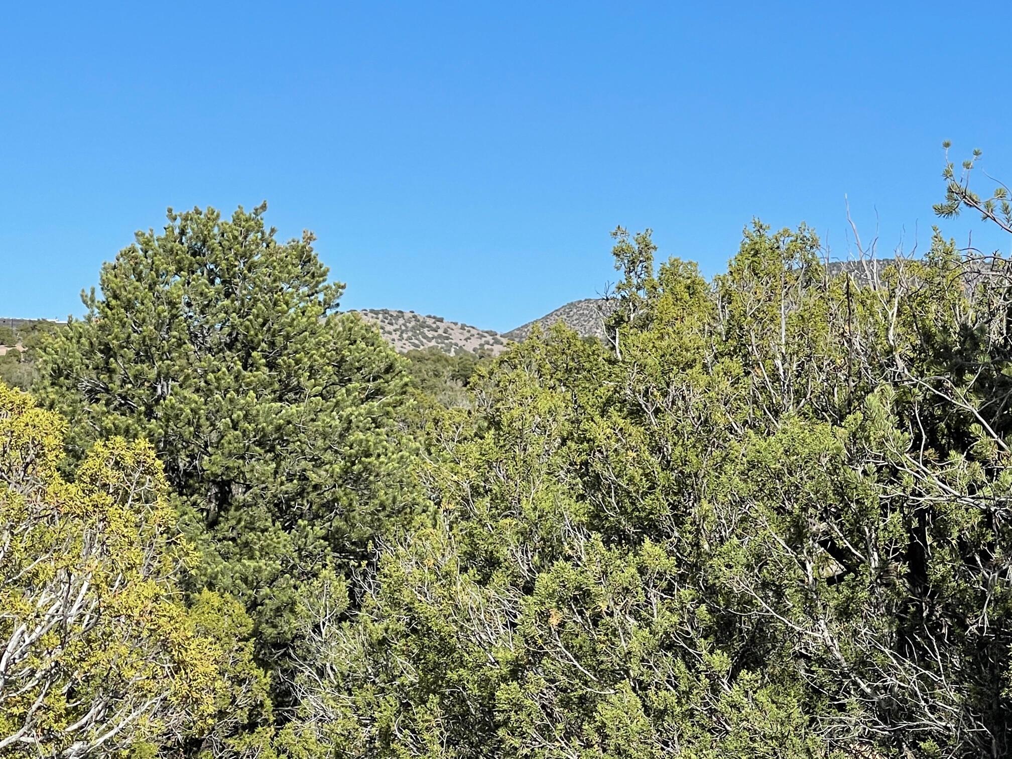 23 Stagecoach Trail, Sandia Park, New Mexico image 8