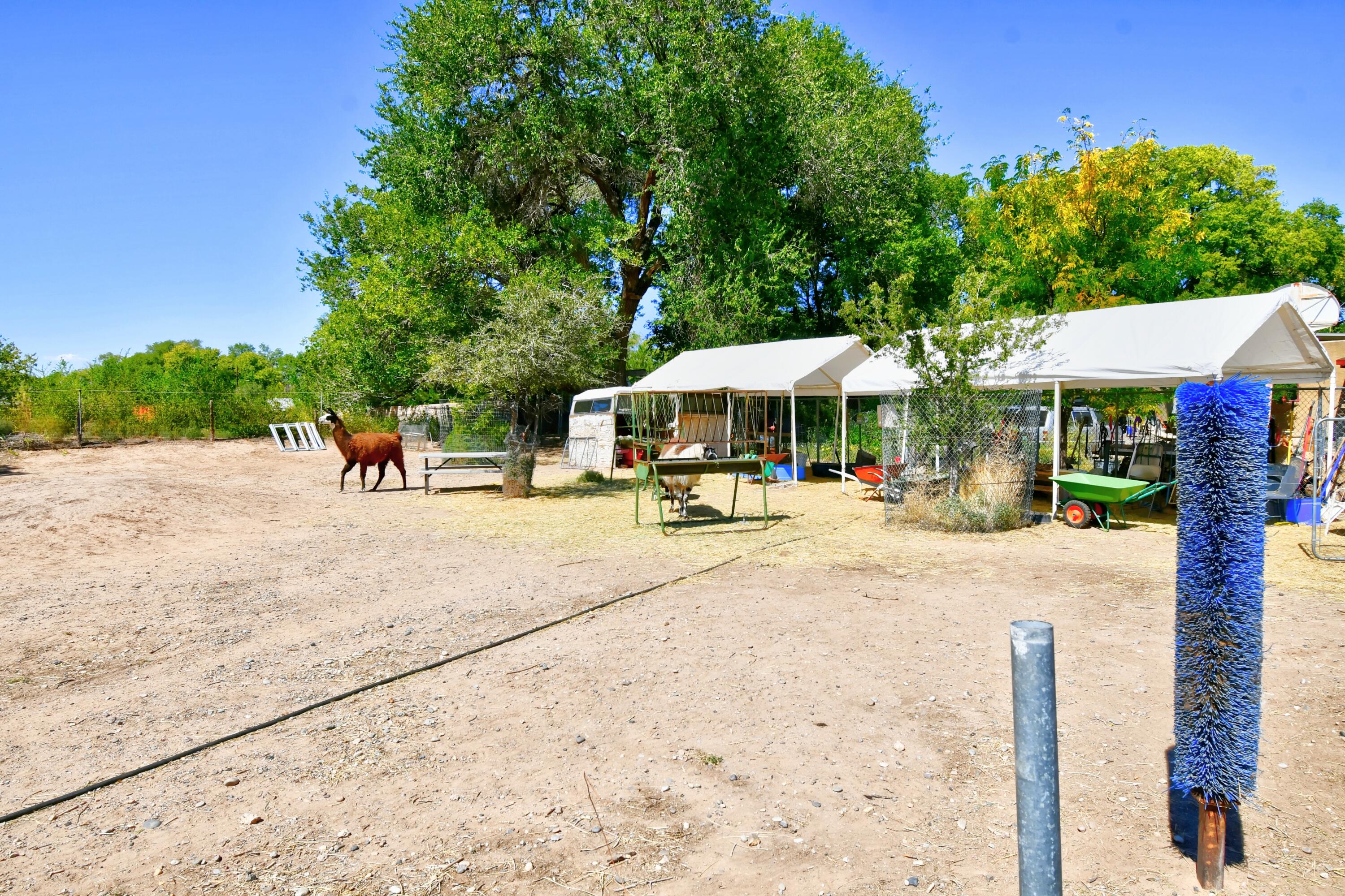 524 El Dorado Drive, Albuquerque, New Mexico image 17