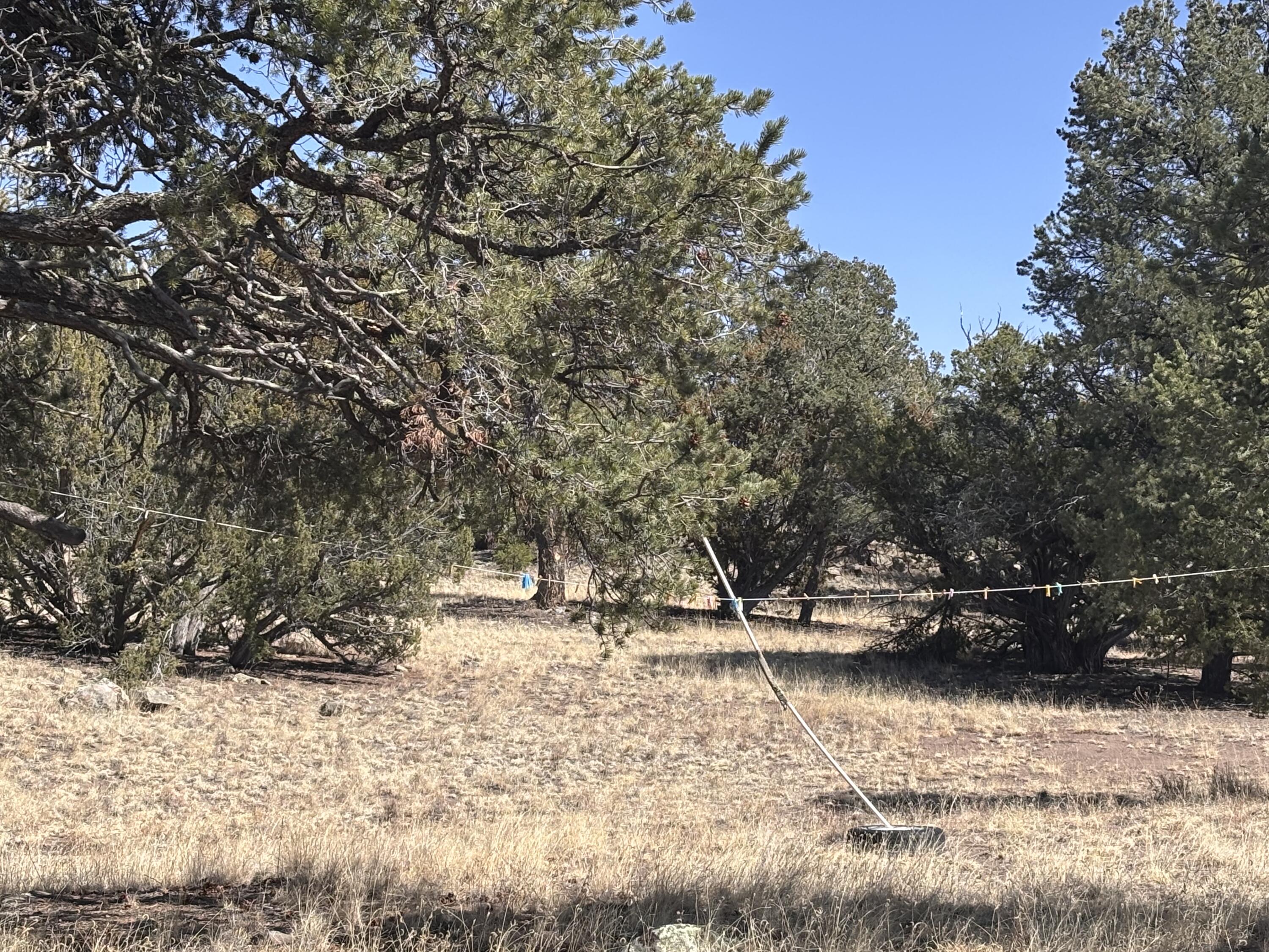 233 Turquoise Trail, Datil, New Mexico image 38