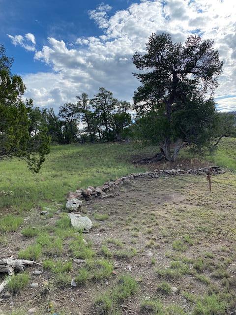 233 Turquoise Trail, Datil, New Mexico image 44