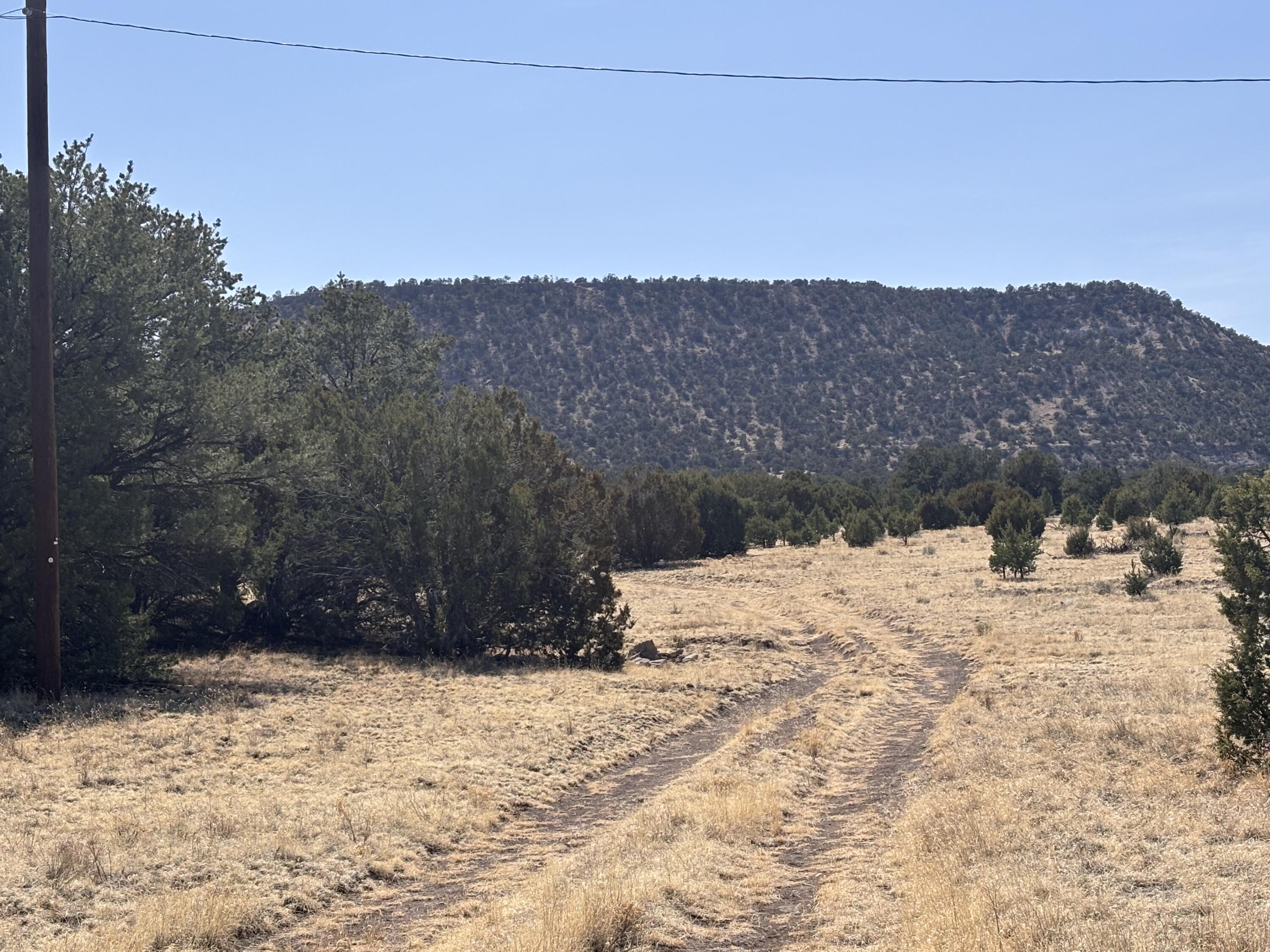 233 Turquoise Trail, Datil, New Mexico image 33
