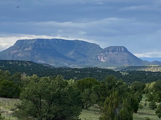 233 Turquoise Trail, Datil, New Mexico image 30