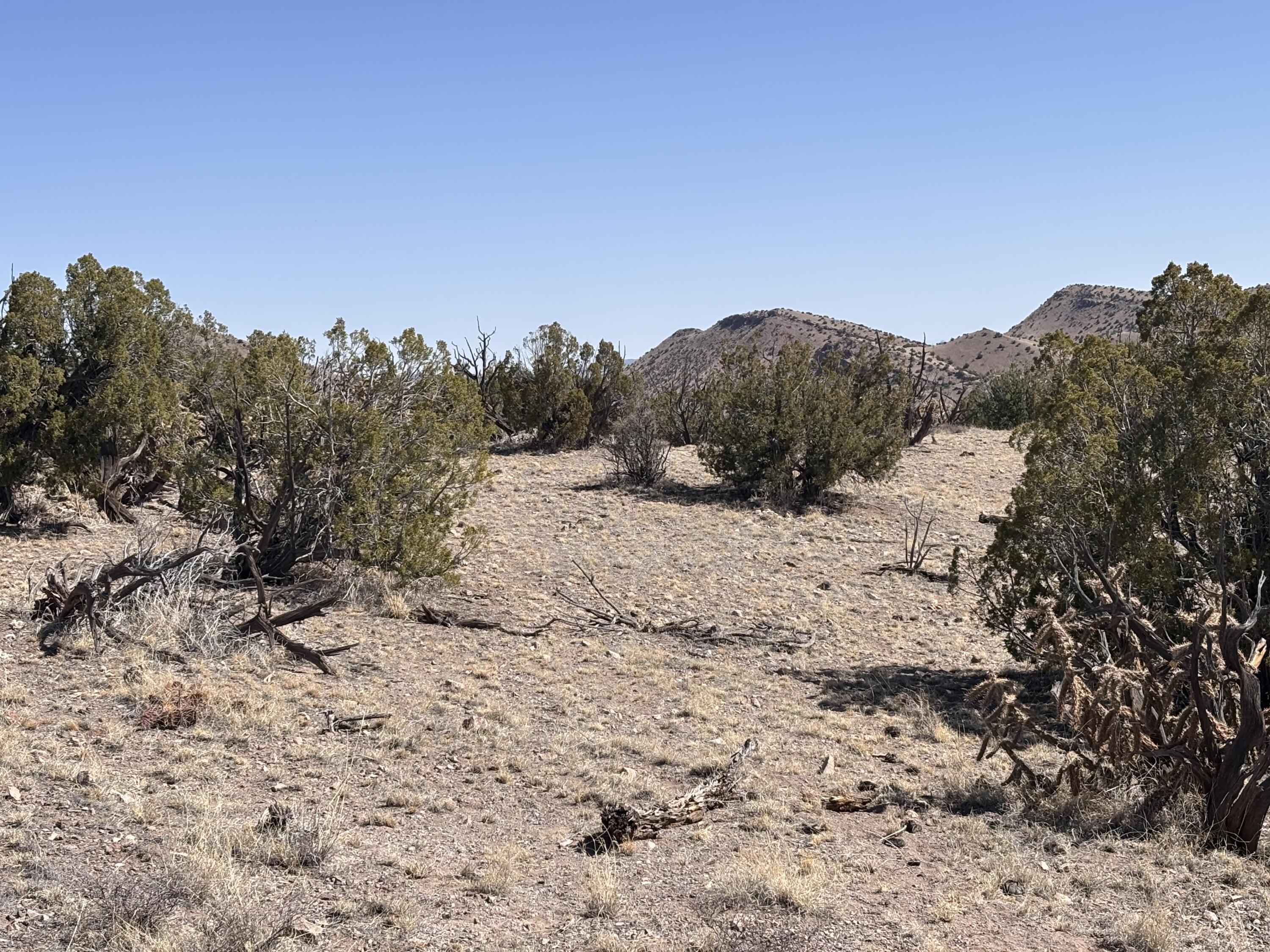 233 Turquoise Trail, Datil, New Mexico image 37