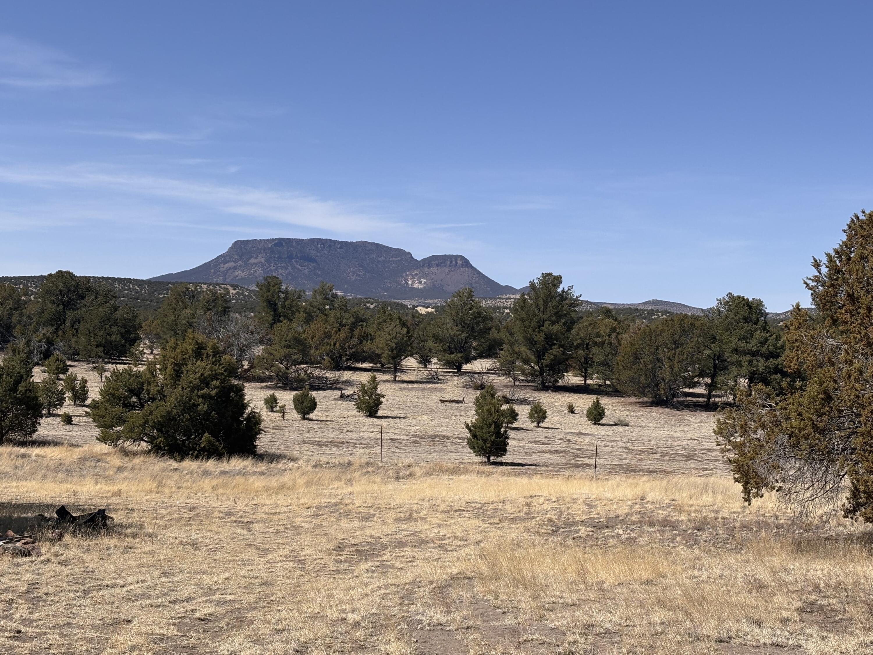 233 Turquoise Trail, Datil, New Mexico image 31