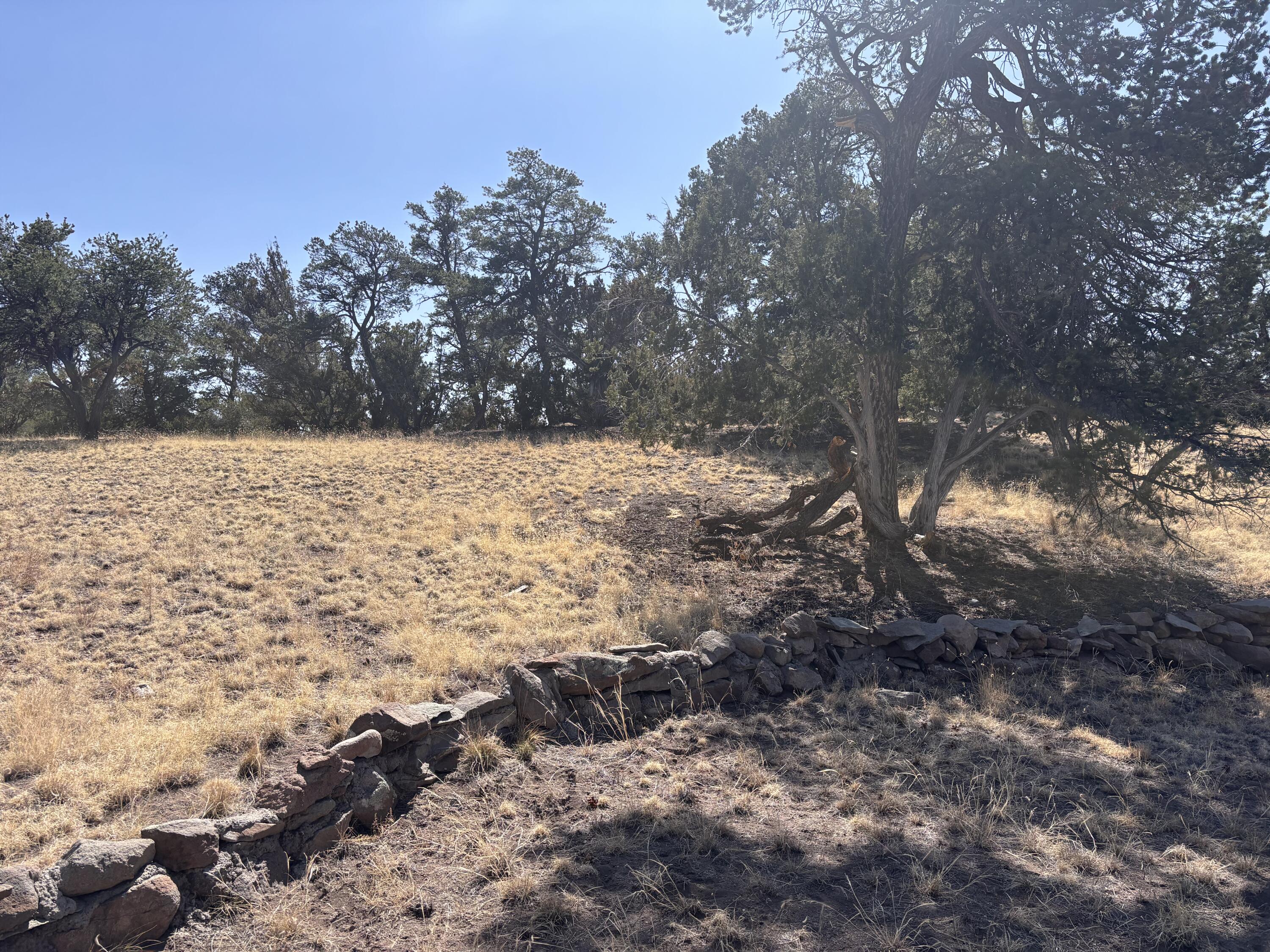 233 Turquoise Trail, Datil, New Mexico image 36