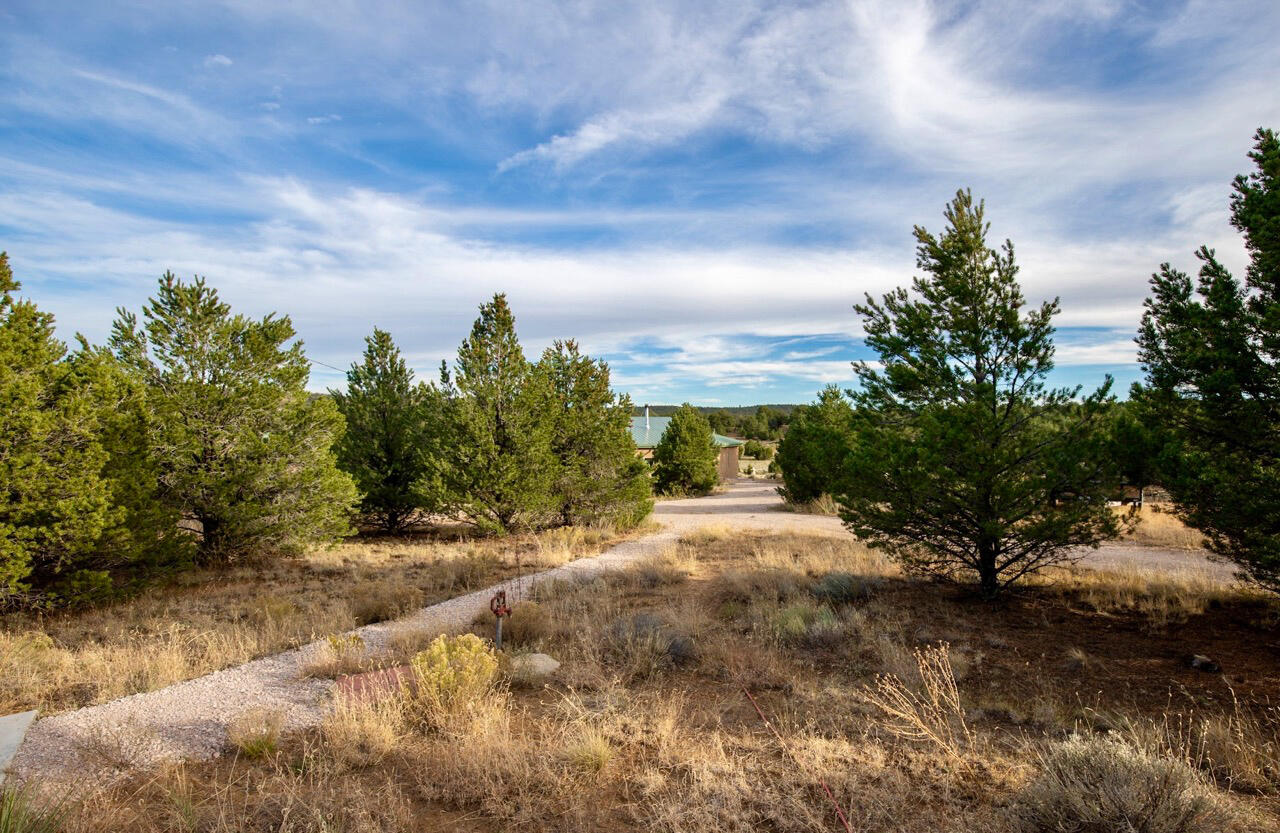 234 Five Gate Road, Ramah, New Mexico image 31