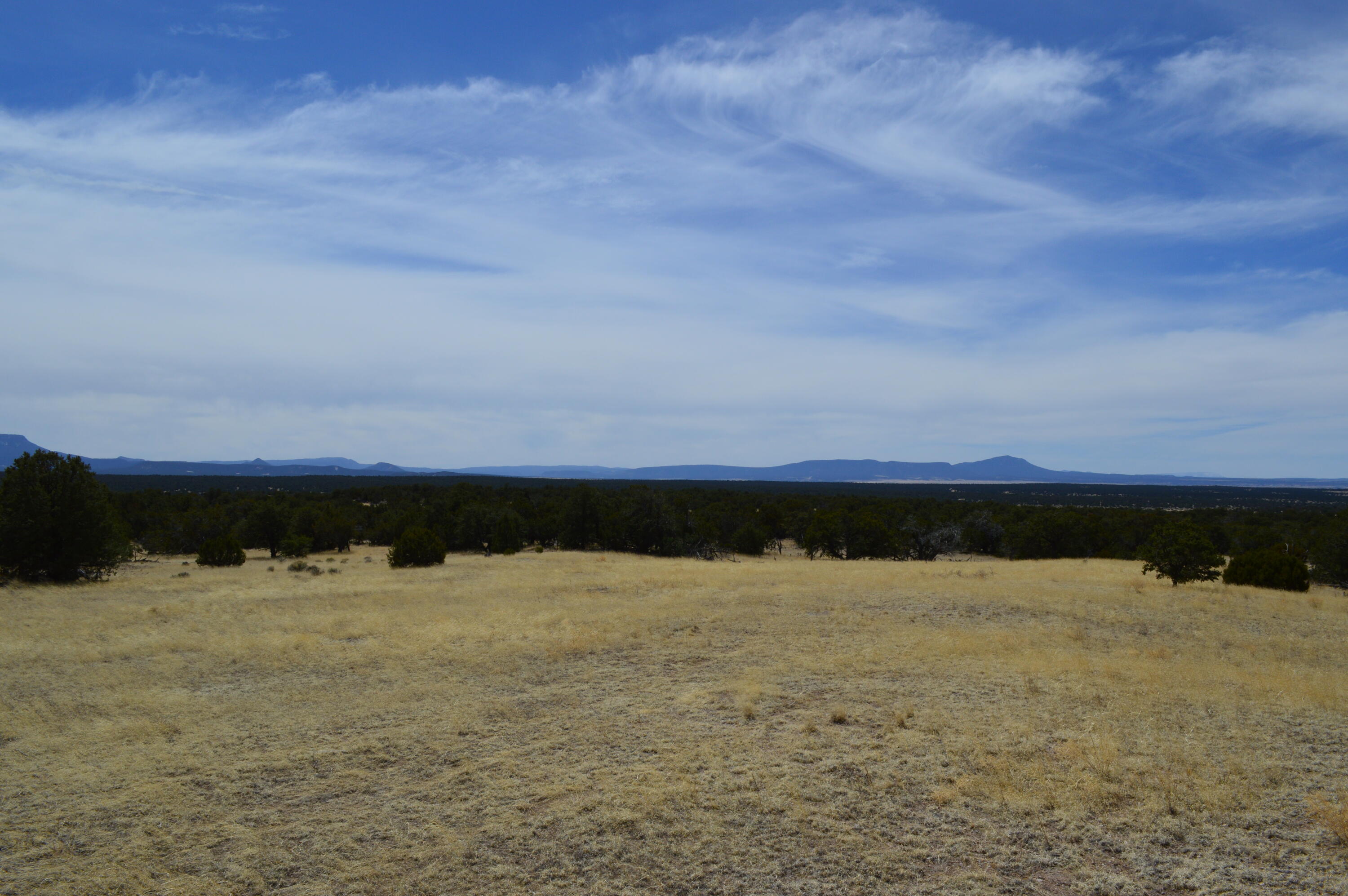 618 Nm-603, Pie Town, New Mexico image 10