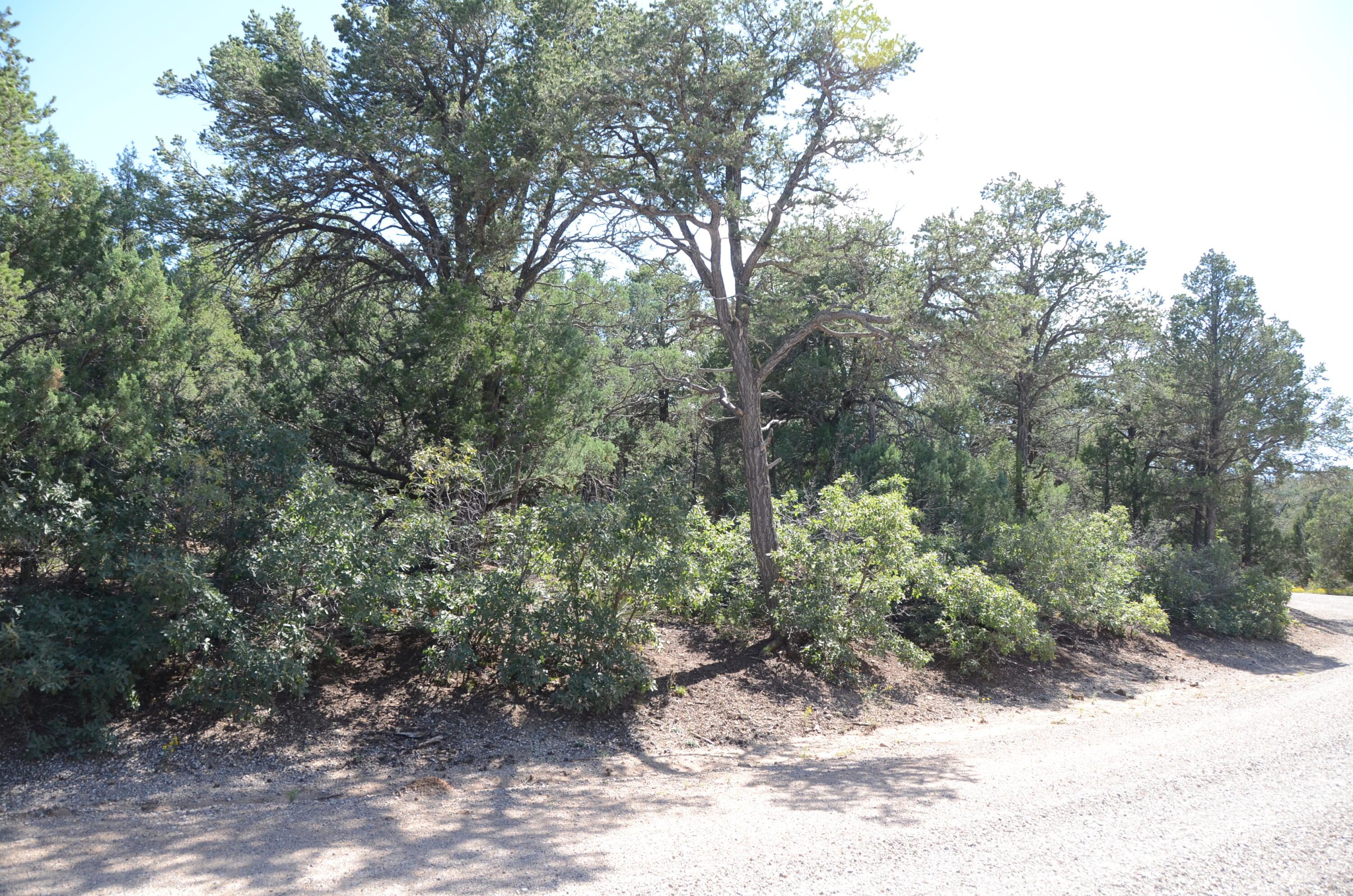 7 Calle Don Carlos, Tijeras, New Mexico image 1