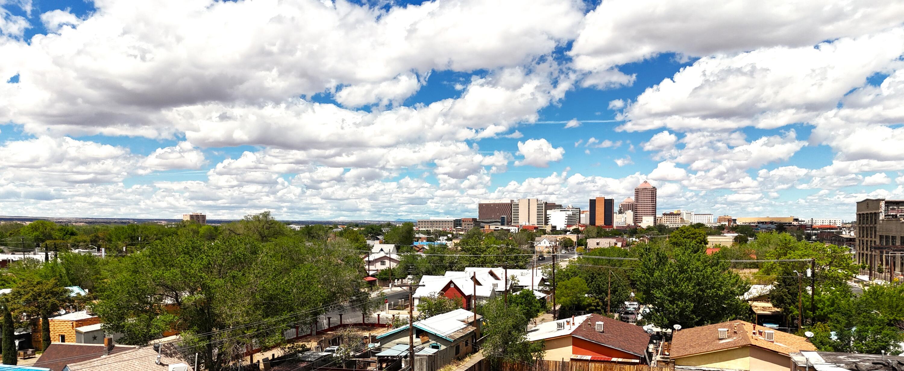 1221 2nd Street, Albuquerque, New Mexico image 8